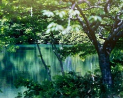 Water Mirror 17, WM-769 – Risaku Suzuki, Nature, Tree, Water, Reflection