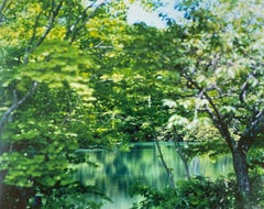 Water Mirror 17, WM-769 – Risaku Suzuki, Nature, Tree, Water, Reflection