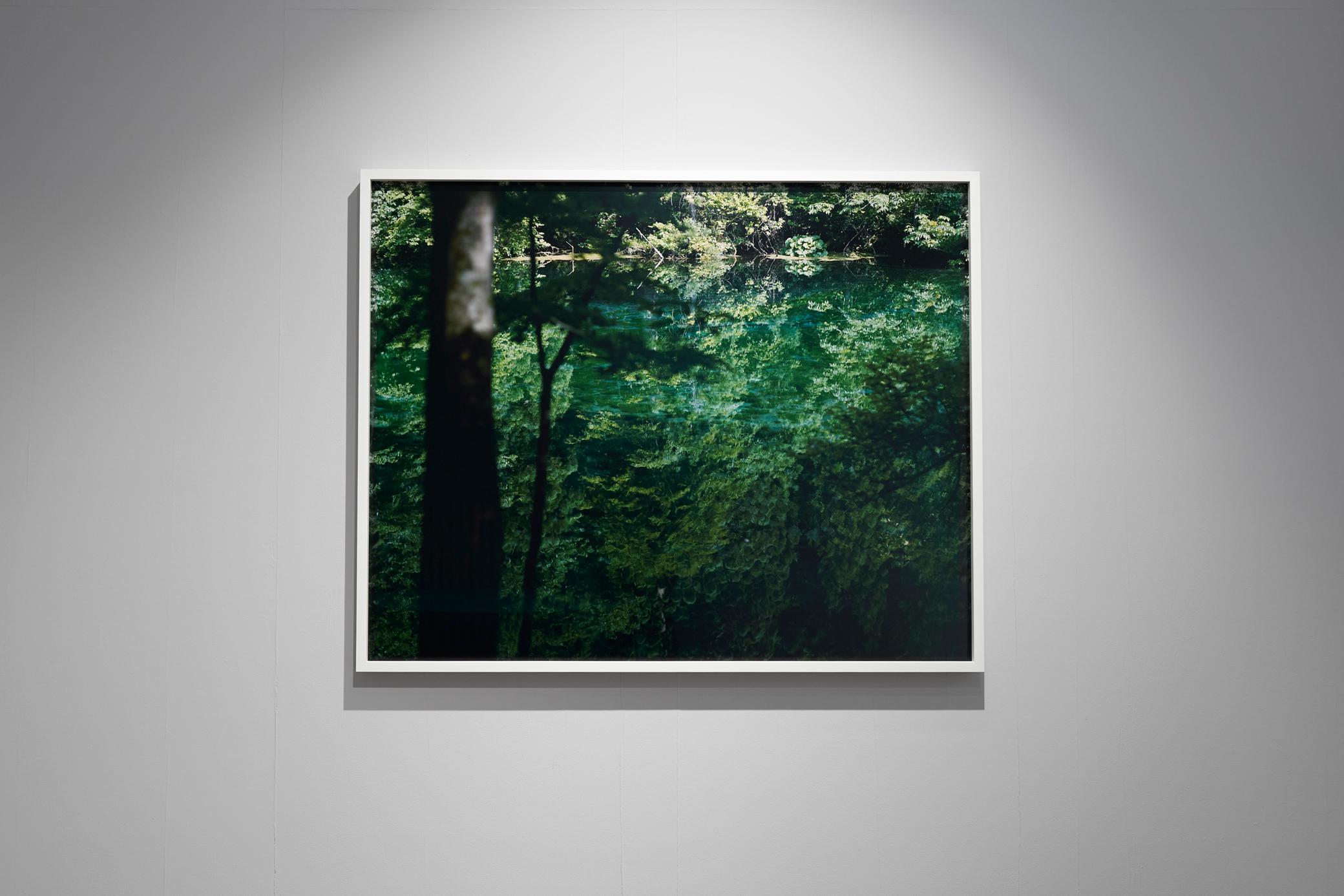 Water Mirror 18, WM-836 – Risaku Suzuki, Nature, Water, Japan, Tree, Reflections For Sale 1