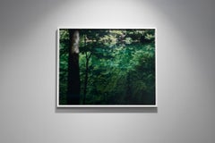 Specchio d'acqua 18, WM-836 - Risaku Suzuki, Natura, Acqua, Giappone, Albero, Riflessi