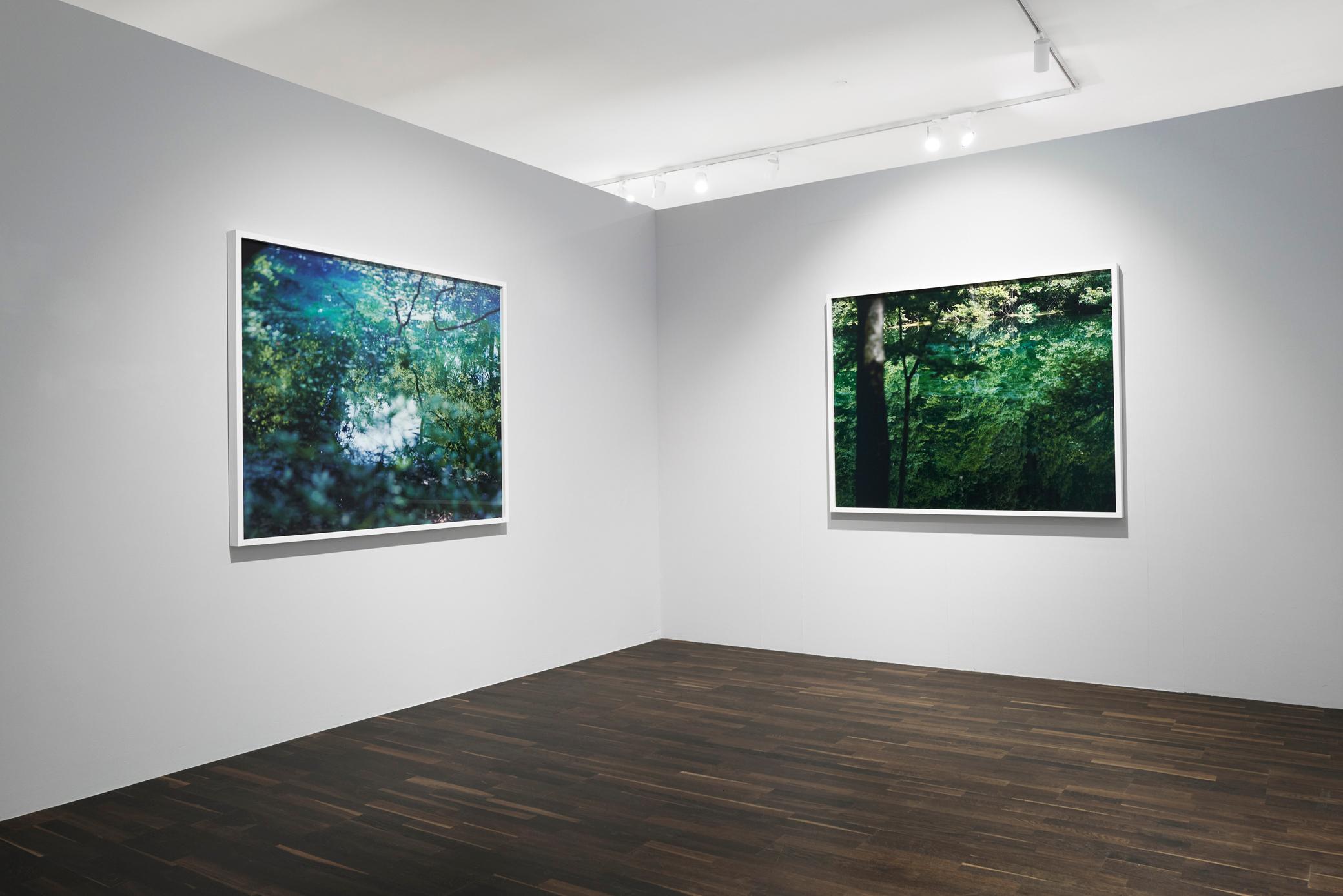 Water Mirror 18, WM-836 – Risaku Suzuki, Nature, Water, Japan, Tree, Reflections For Sale 2