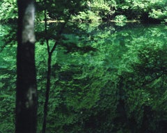 Water Mirror 18, WM-836 – Risaku Suzuki, Nature, Water, Japan, Tree, Reflections