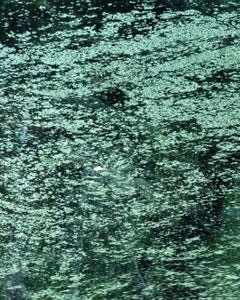 Water Mirror 21, WM-50 – Risaku Suzuki, Nature, Water, Japan, Tree