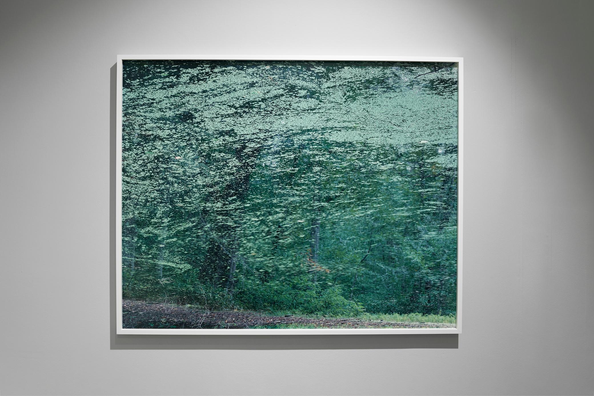 Wasserspiegel 21, WM-50 - Risaku Suzuki, Natur, Wasser, Japan, Baum im Angebot 4