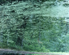 Wasserspiegel 21, WM-50 - Risaku Suzuki, Natur, Wasser, Japan, Baum