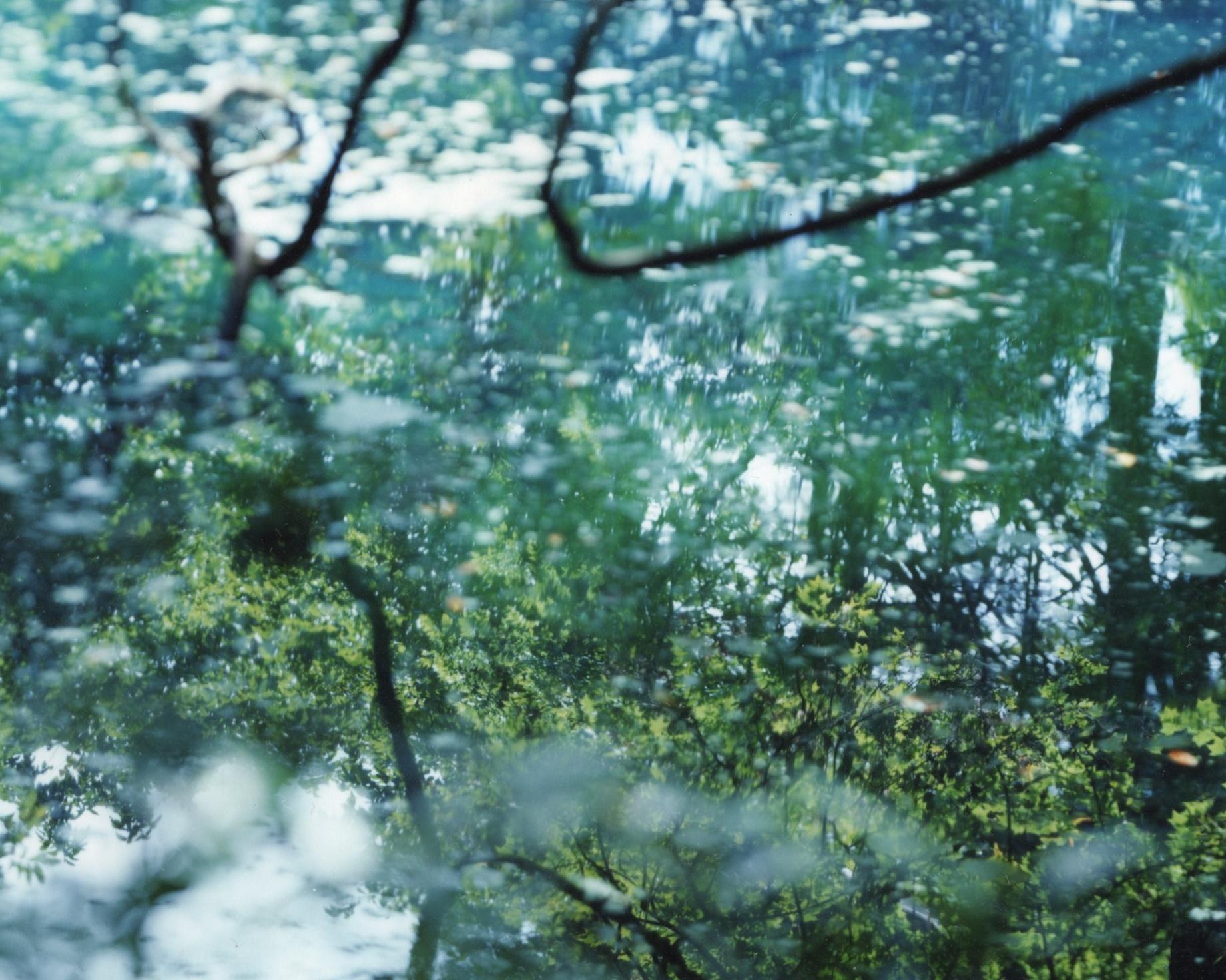 Wasserspiegel 21, WM-68 - Risaku Suzuki, Natur, Wasser, Japan, Baum im Angebot 1