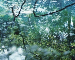 Wasserspiegel 21, WM-68 - Risaku Suzuki, Natur, Wasser, Japan, Baum