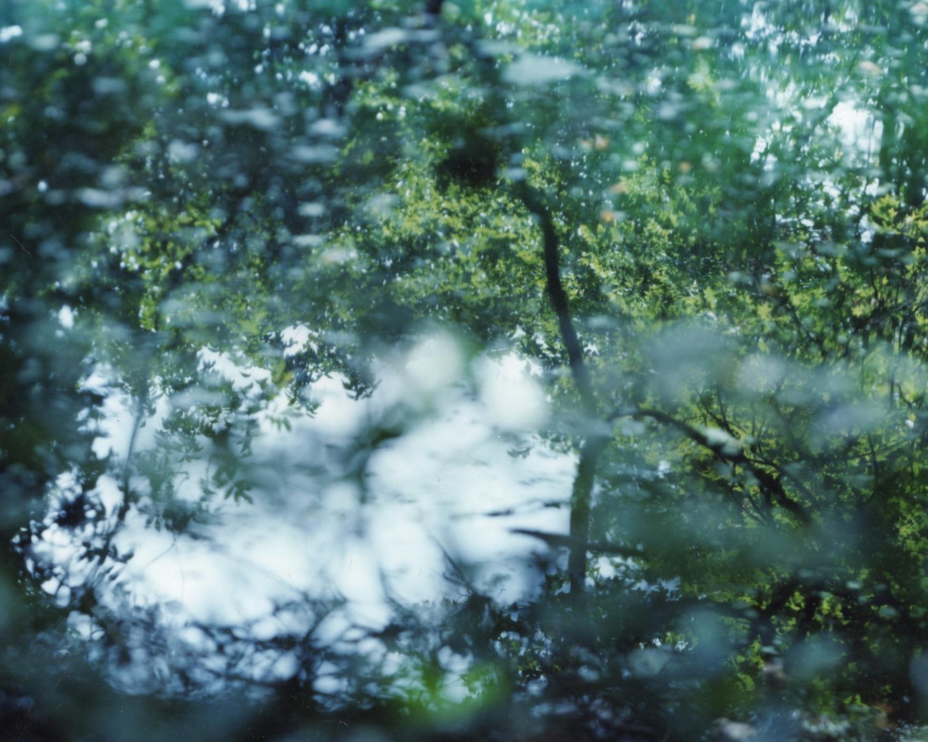 Miroir d'eau 21, WM-68 - Risaku Suzuki, Nature, Eau, Japon, Arbre en vente 3