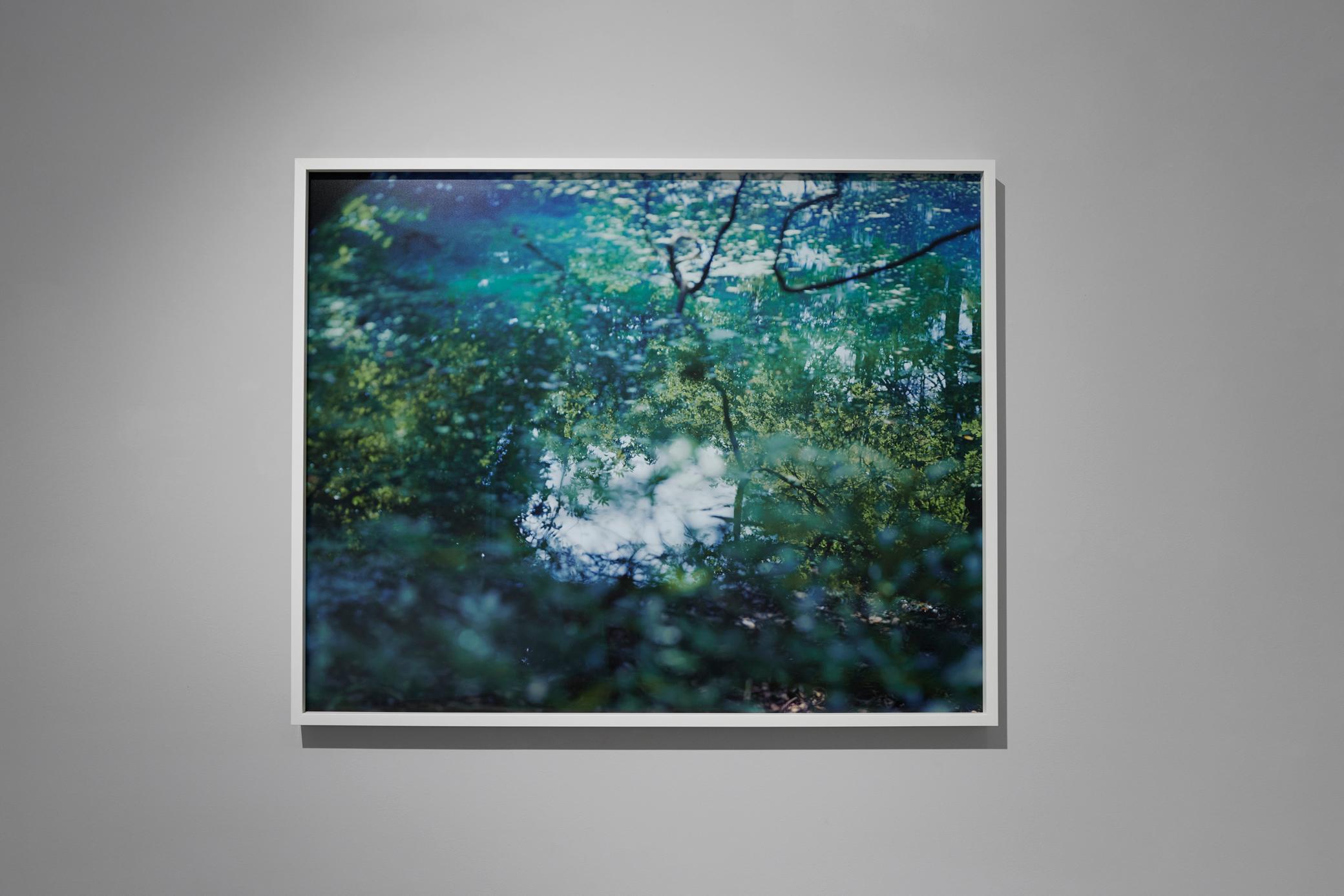 Wasserspiegel 21, WM-68 - Risaku Suzuki, Natur, Wasser, Japan, Baum im Angebot 5