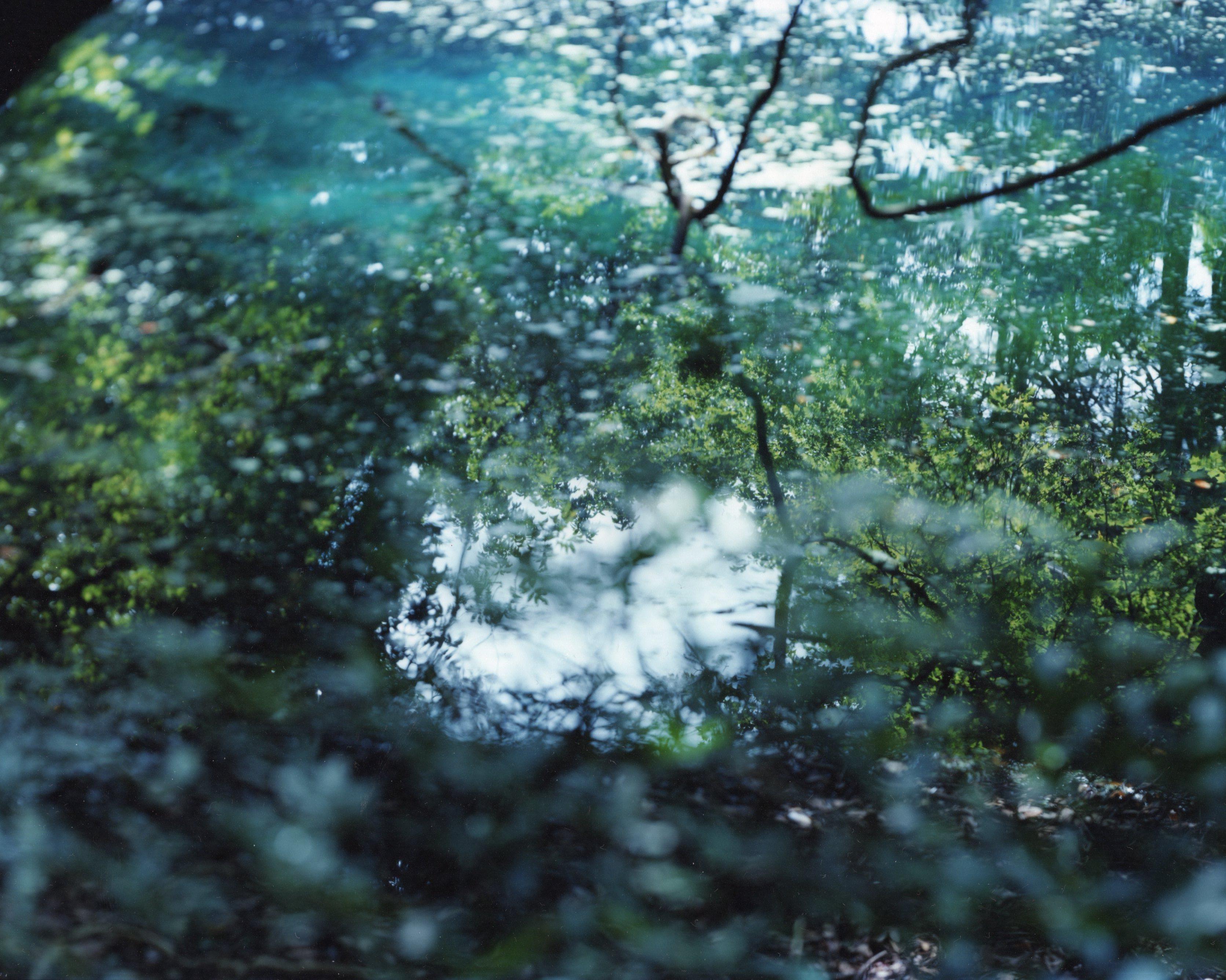 Wasserspiegel 21, WM-68 - Risaku Suzuki, Natur, Wasser, Japan, Baum