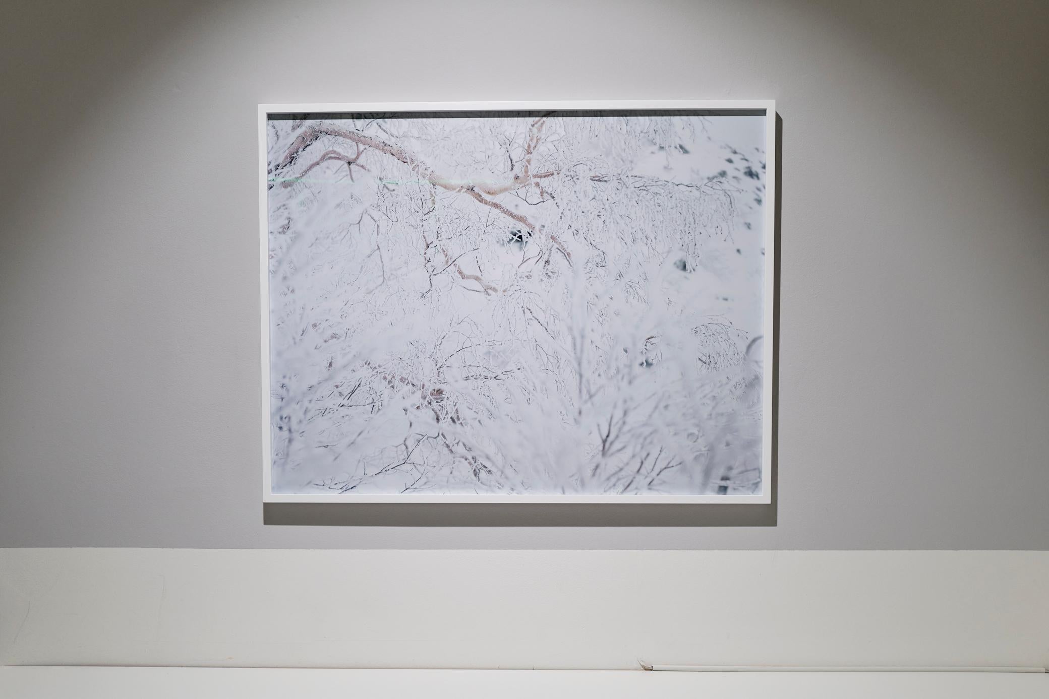WHITE 11, H-434 – Risaku Suzuki, Nature, Snow, Forest, White, Winter, Japan, Art For Sale 4