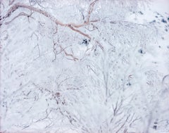 WHITE 11, H-434 – Risaku Suzuki, Nature, Snow, Forest, White, Winter, Japan, Art