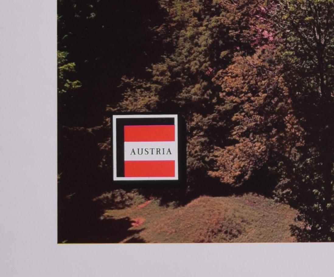 Austria Bregenz am Bodensee cartel original de época de esquí Risch Lau en venta 4