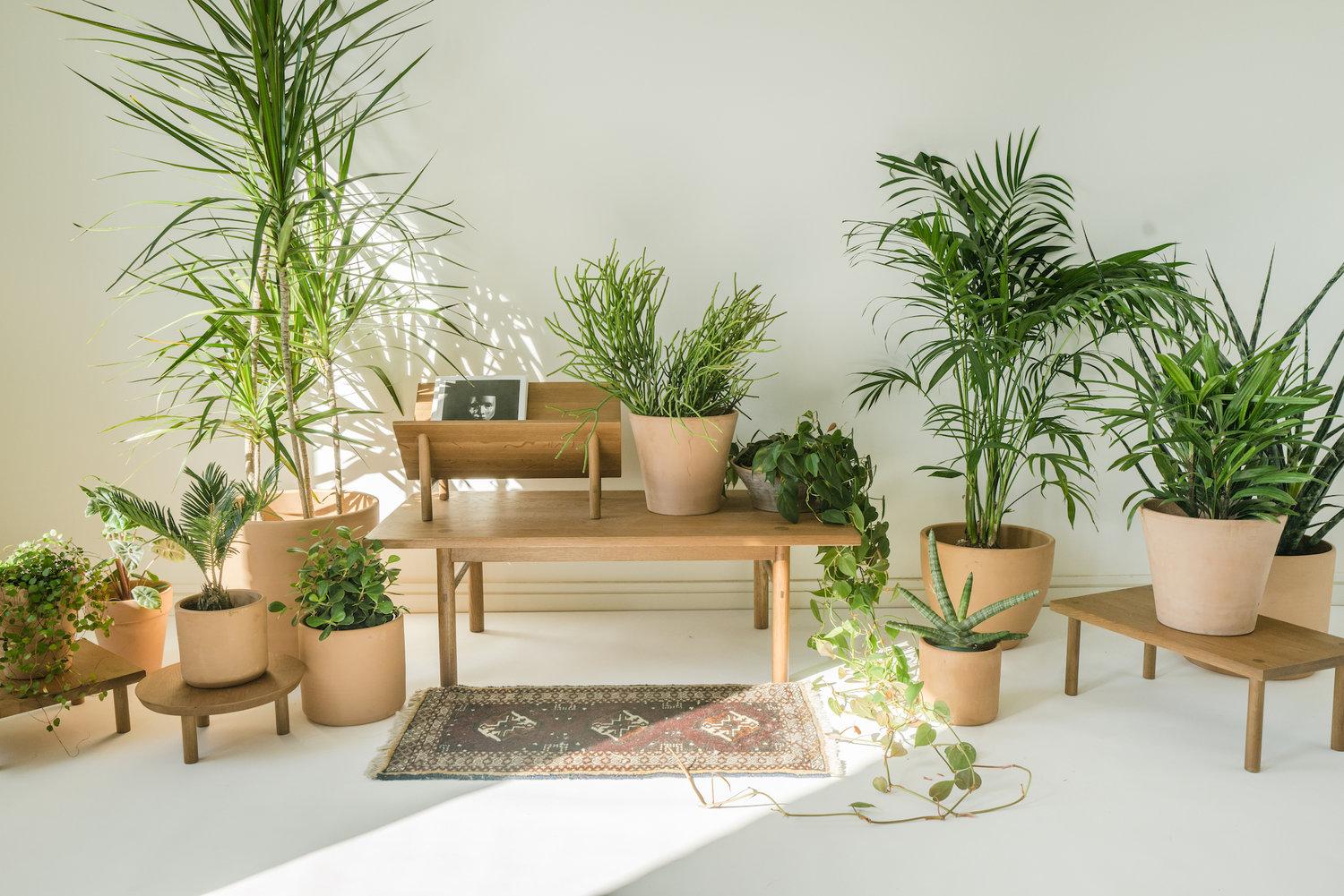 Librero Rise de Sun at Six, Librero o estantería minimalista Siena de madera en venta 7