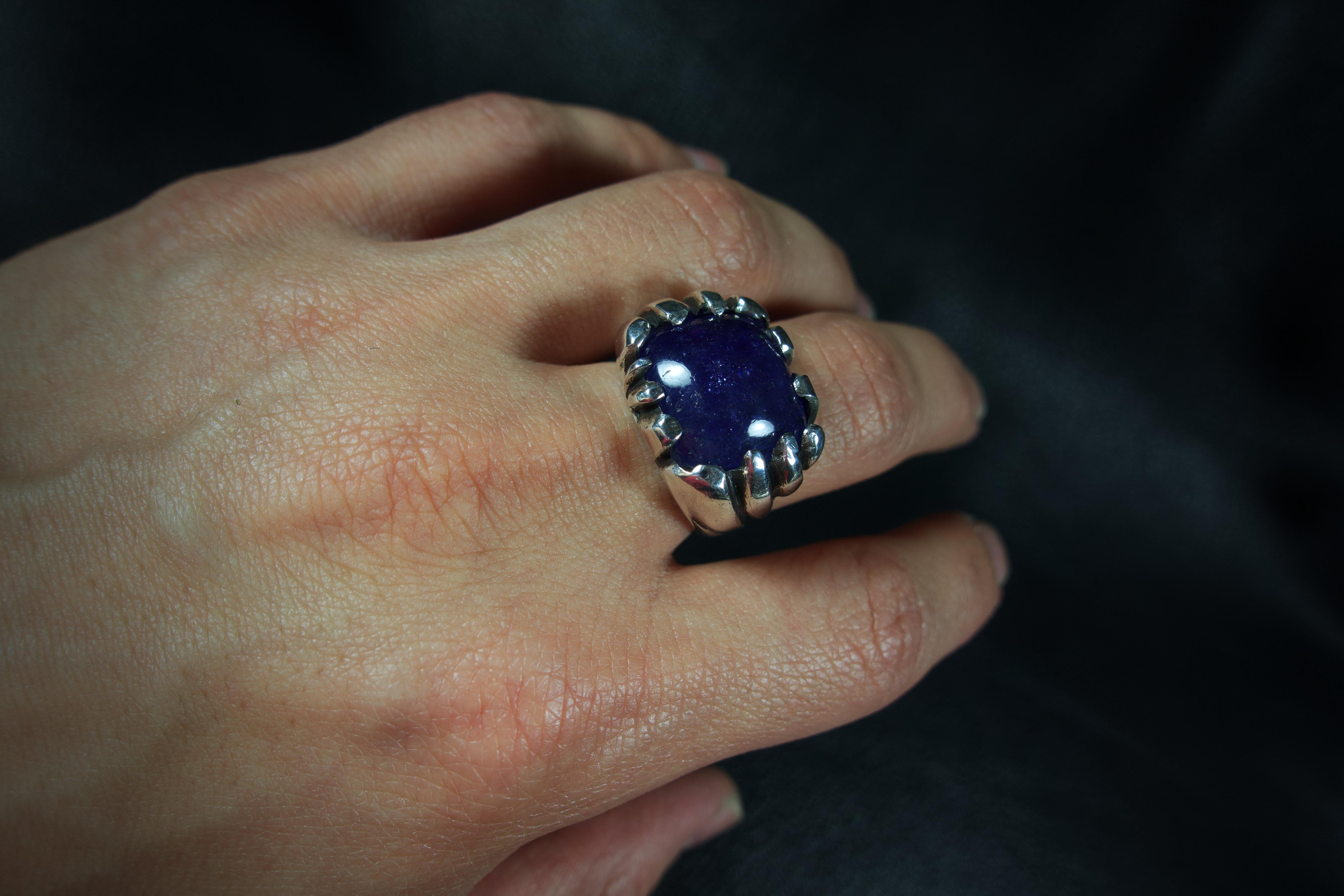 Rise (Tanzanite, Sterling Silver Ring) by Ken Fury In New Condition In Queens, NY
