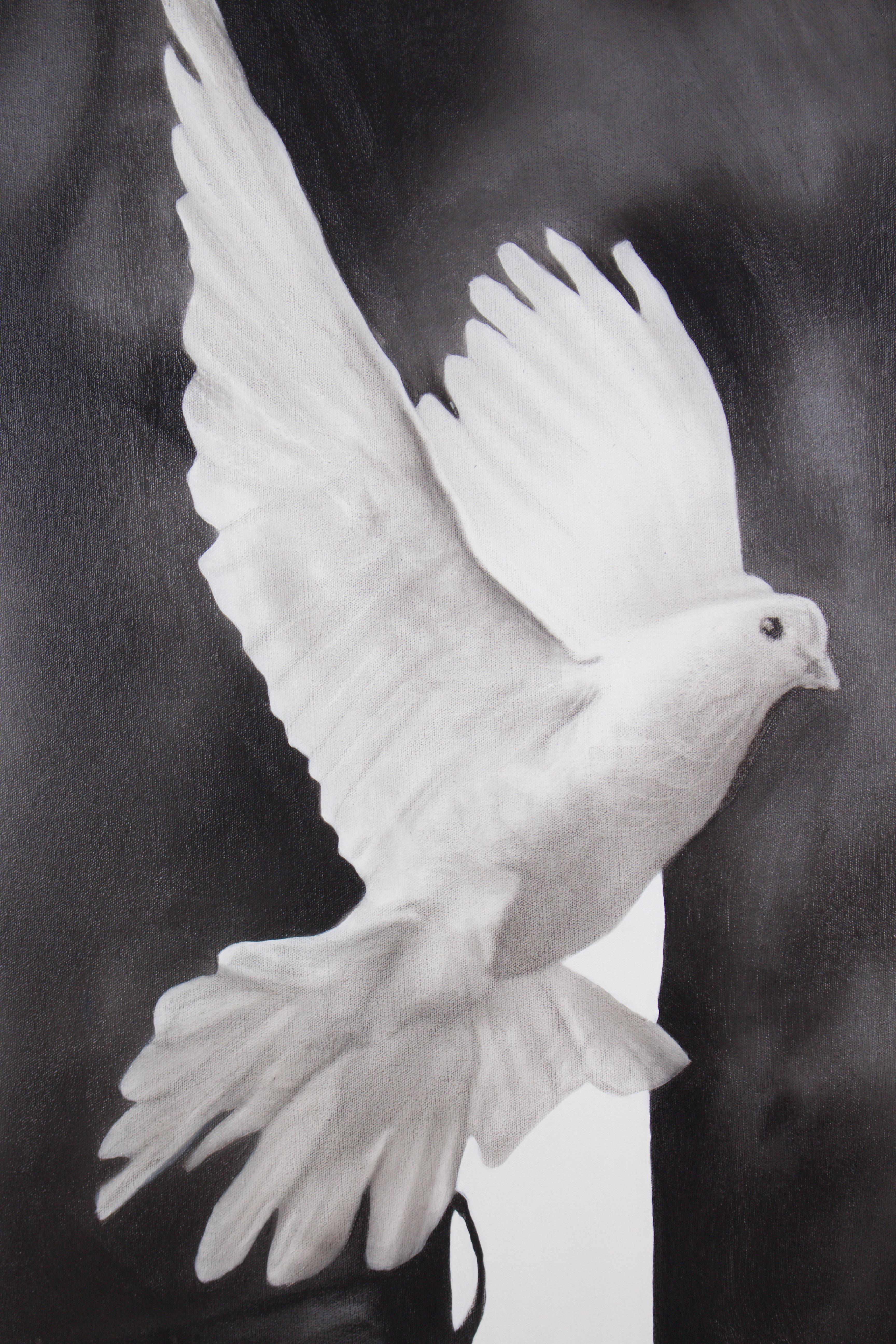 Between Fragilities For Sale 1