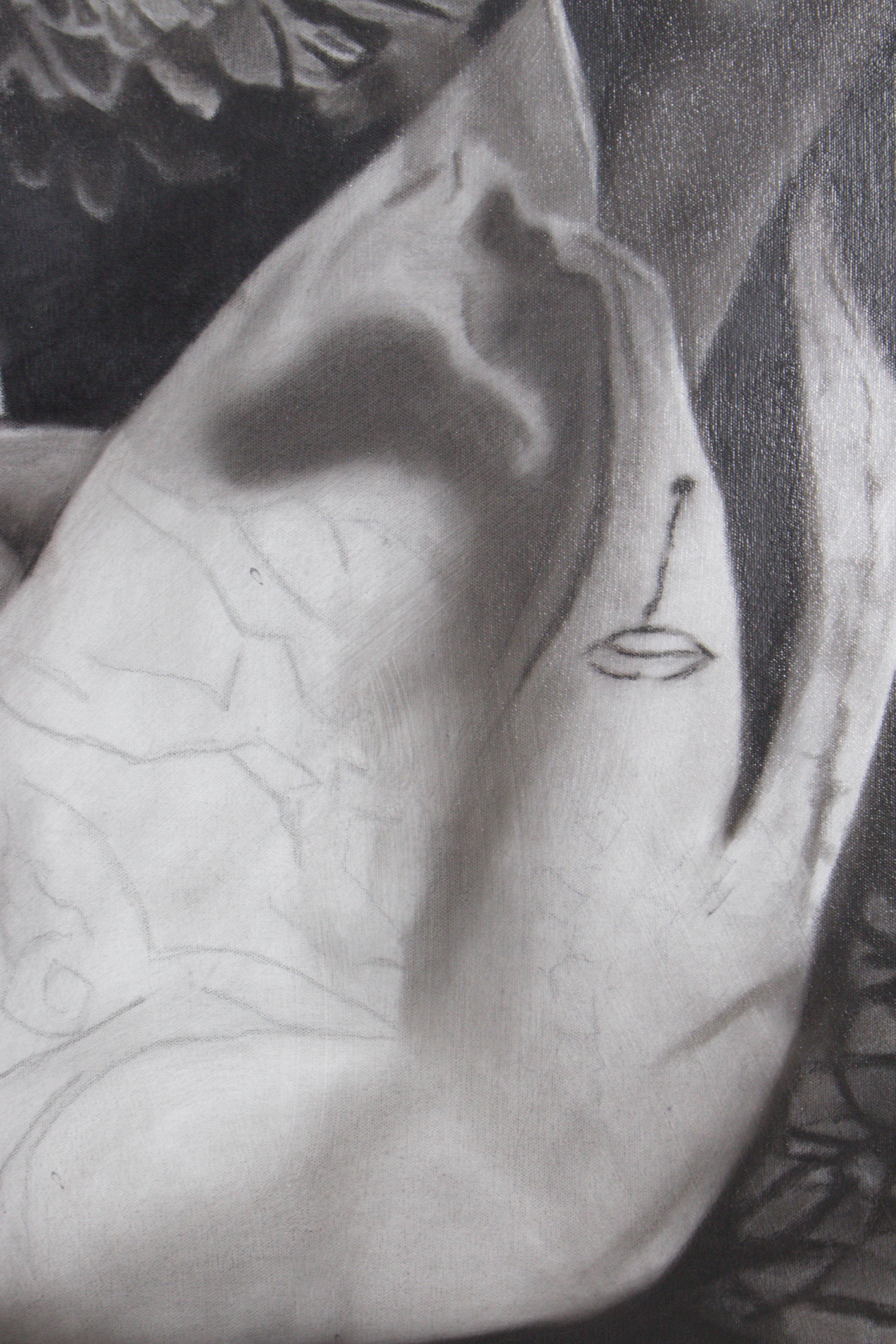 Jardim das Fragilidades im Angebot 9