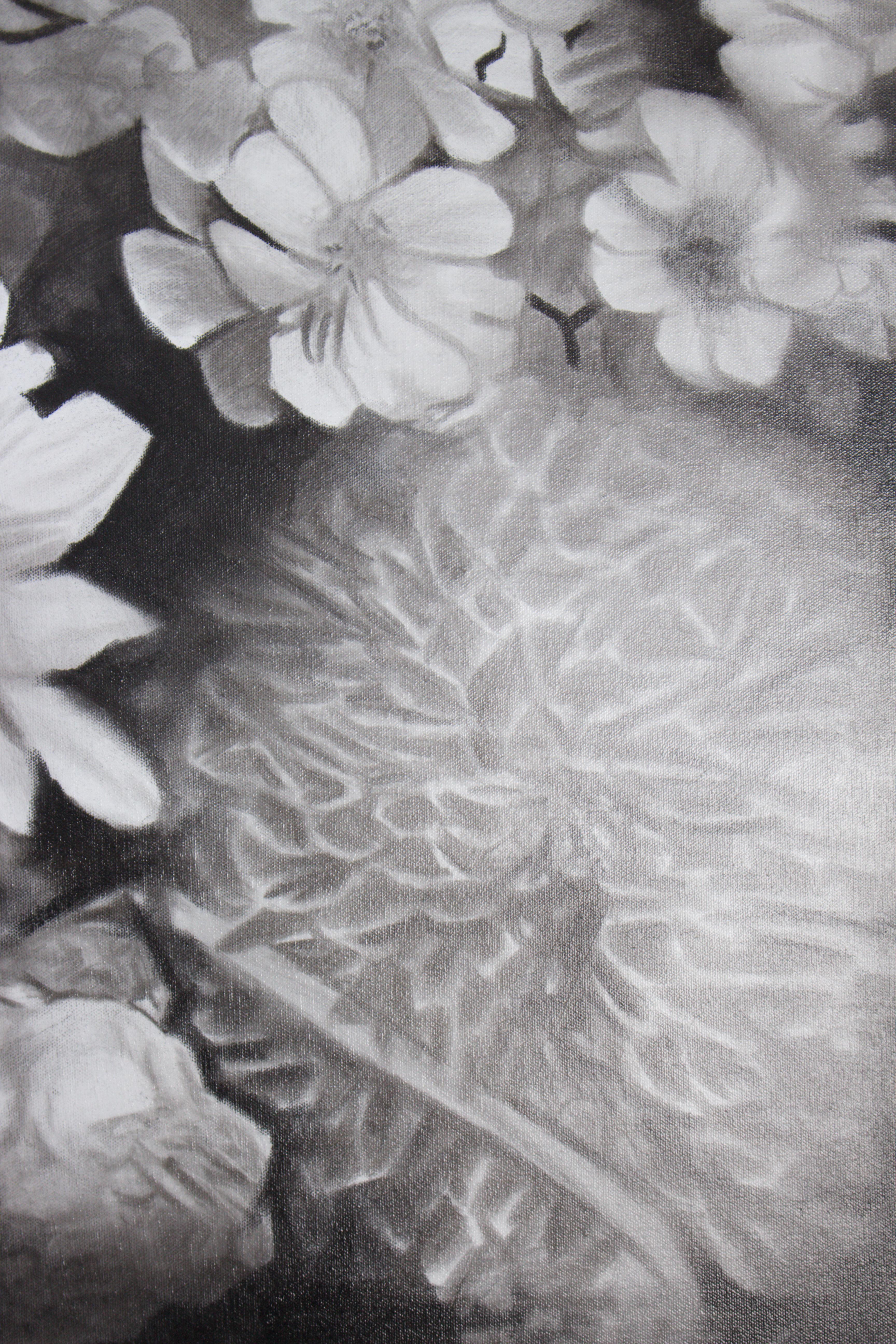 Jardim das Fragilidades im Angebot 10