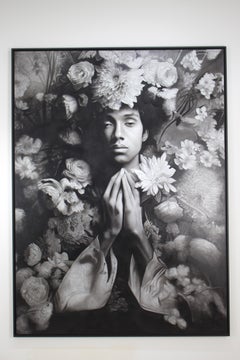 Jardim das Fragilidades