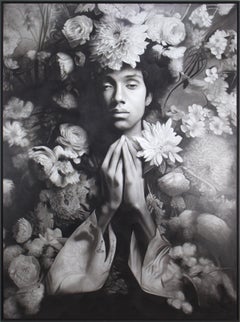 Jardim das Fragilidades