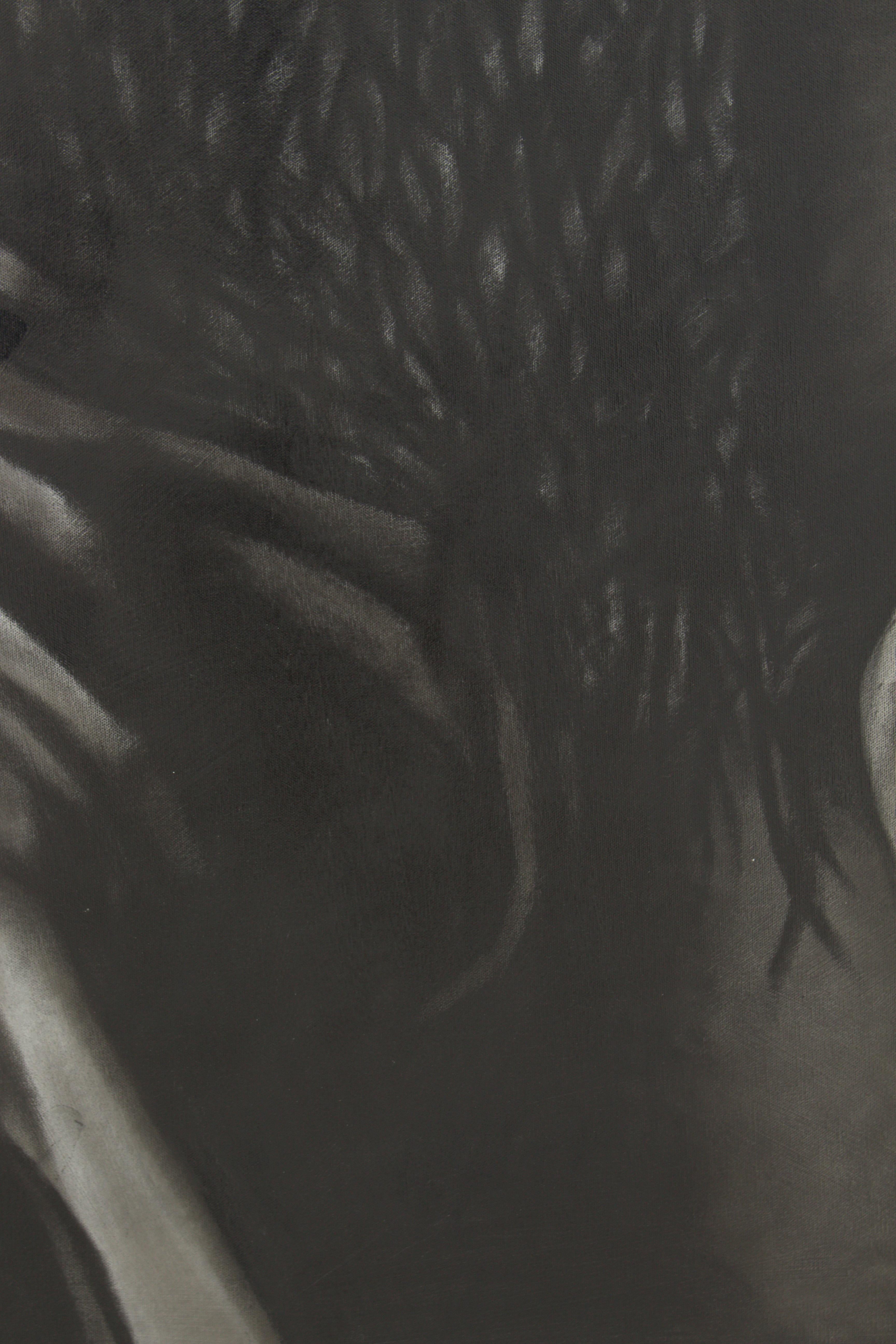 Não Me Esqueça For Sale 7