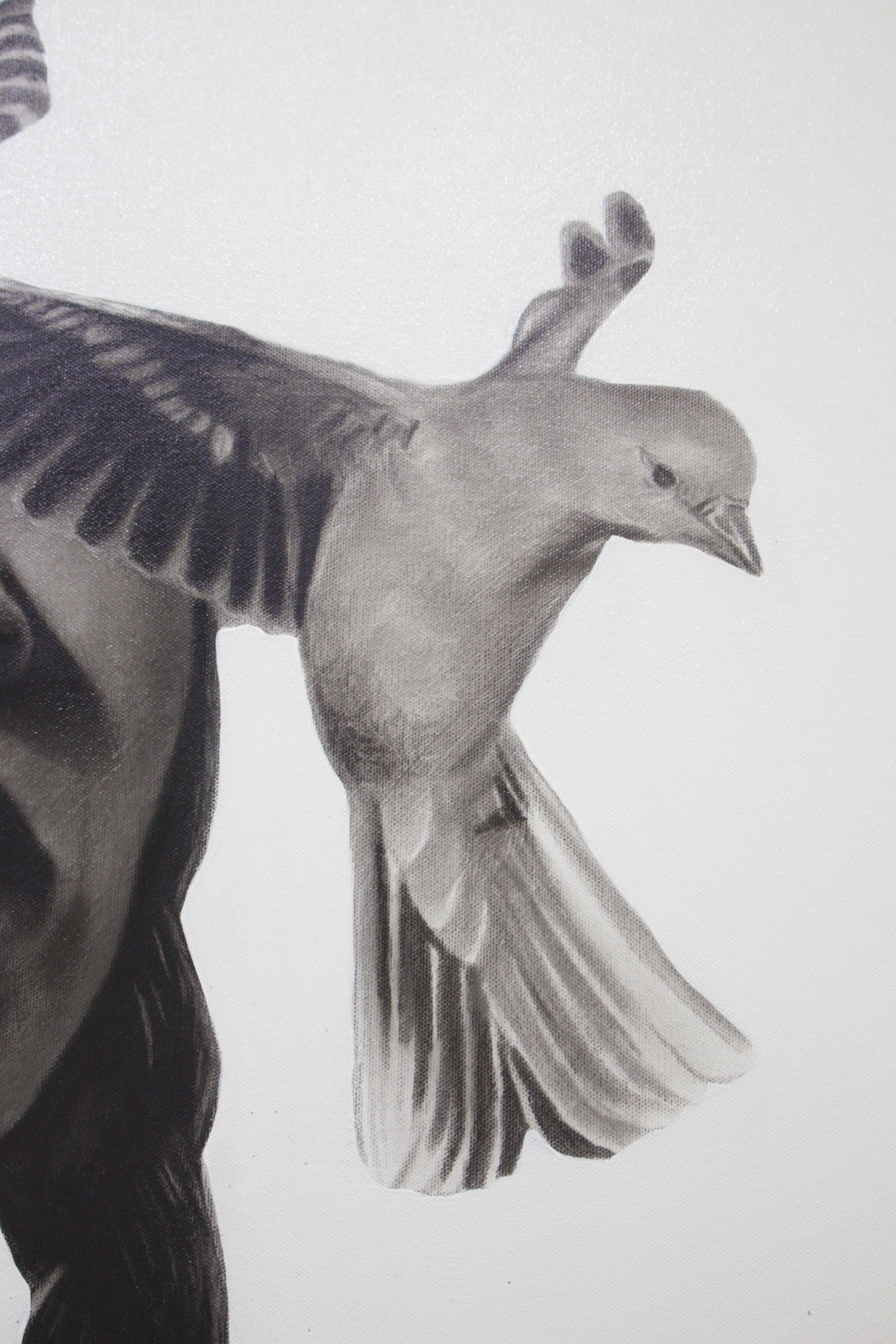 Oiseaux blessés en vente 7