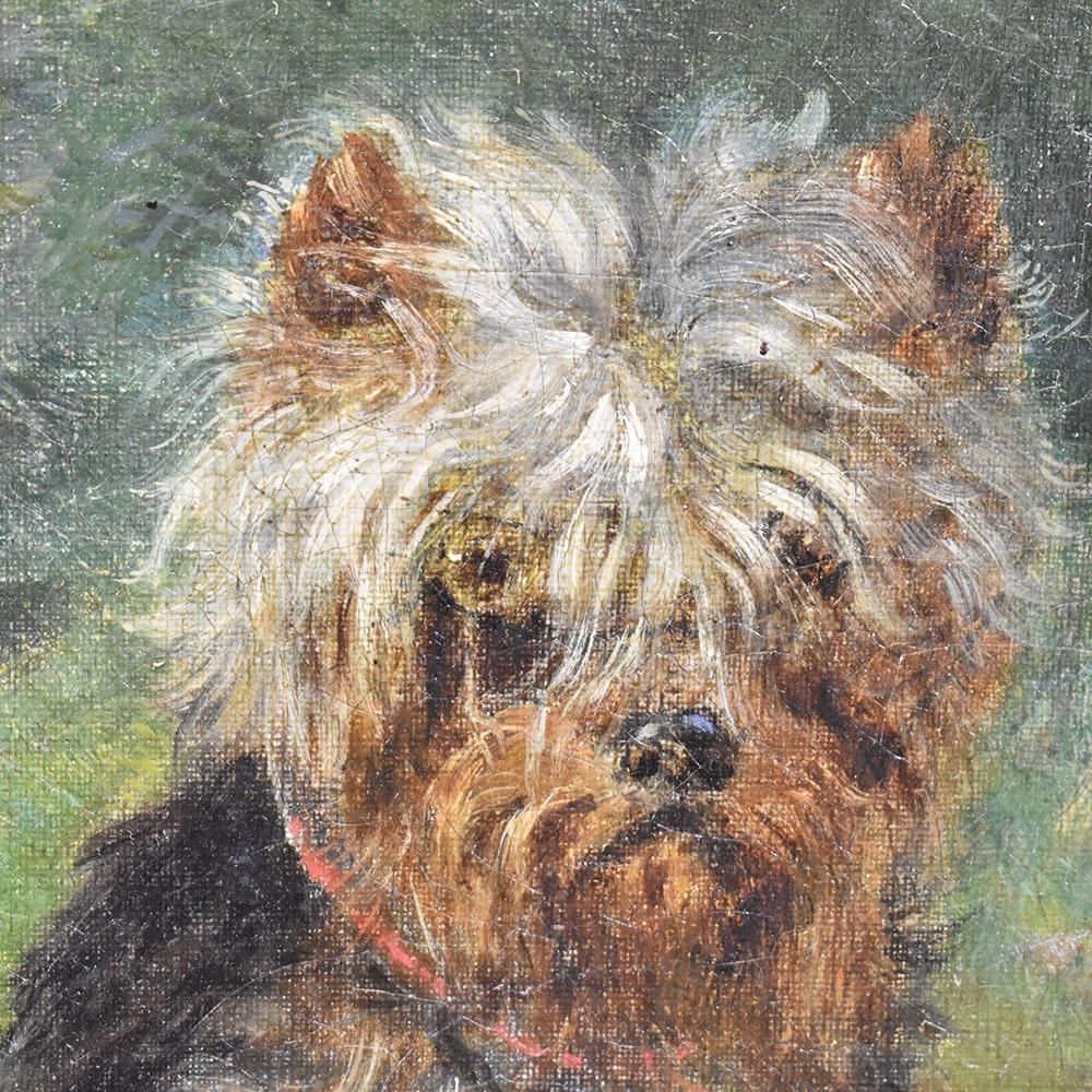 Napoleon III Ritratti Di Cani, Quadro Antico, Olio Su Tela, Yorkshire Terrier, Fine XIX. 