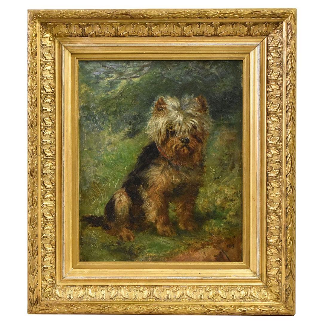 Ritratti Di Cani, Quadro Antico, Olio Su Tela, Yorkshire Terrier, Fine XIX. 