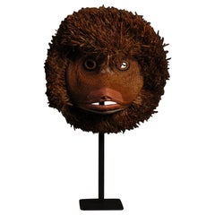 Ritual mask from the rainforest