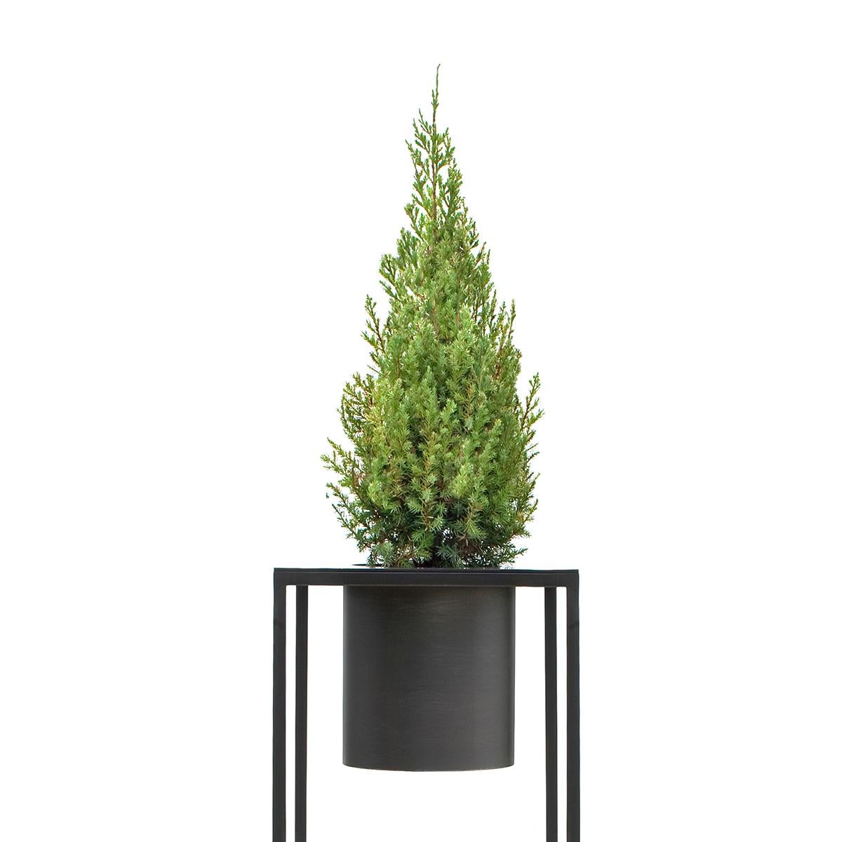 Riviera 1 plant h90cm is a vase in burnished iron designed by Aldo Cibic and made by DeCastelli,
market leader in metalwork design for furniture made in Italy.
After thinking about green on a large scale, Aldo Cibic approaches the aesthetic of