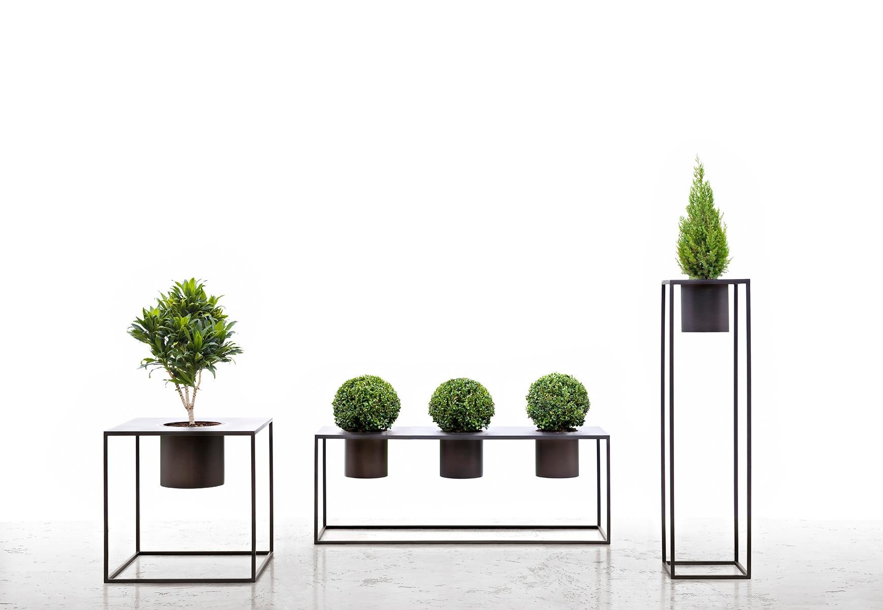 Riviera 3 Plants Burnished Iron Vase Designed by Aldo Cibic (Italienisch)