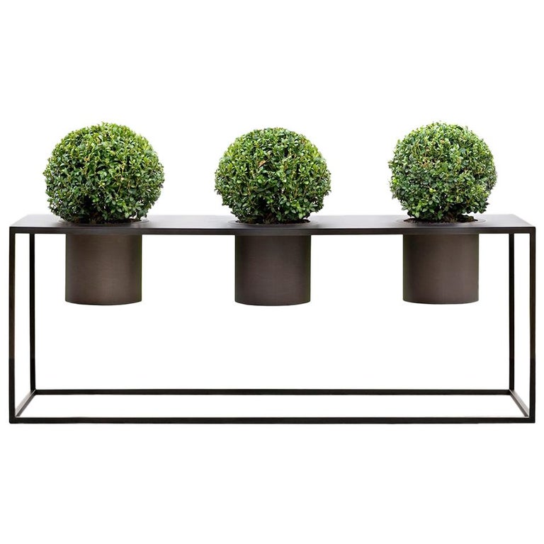 Riviera Drei Pflanzen Poliertes Eisen Vase Entworfen von Aldo Cibic 1