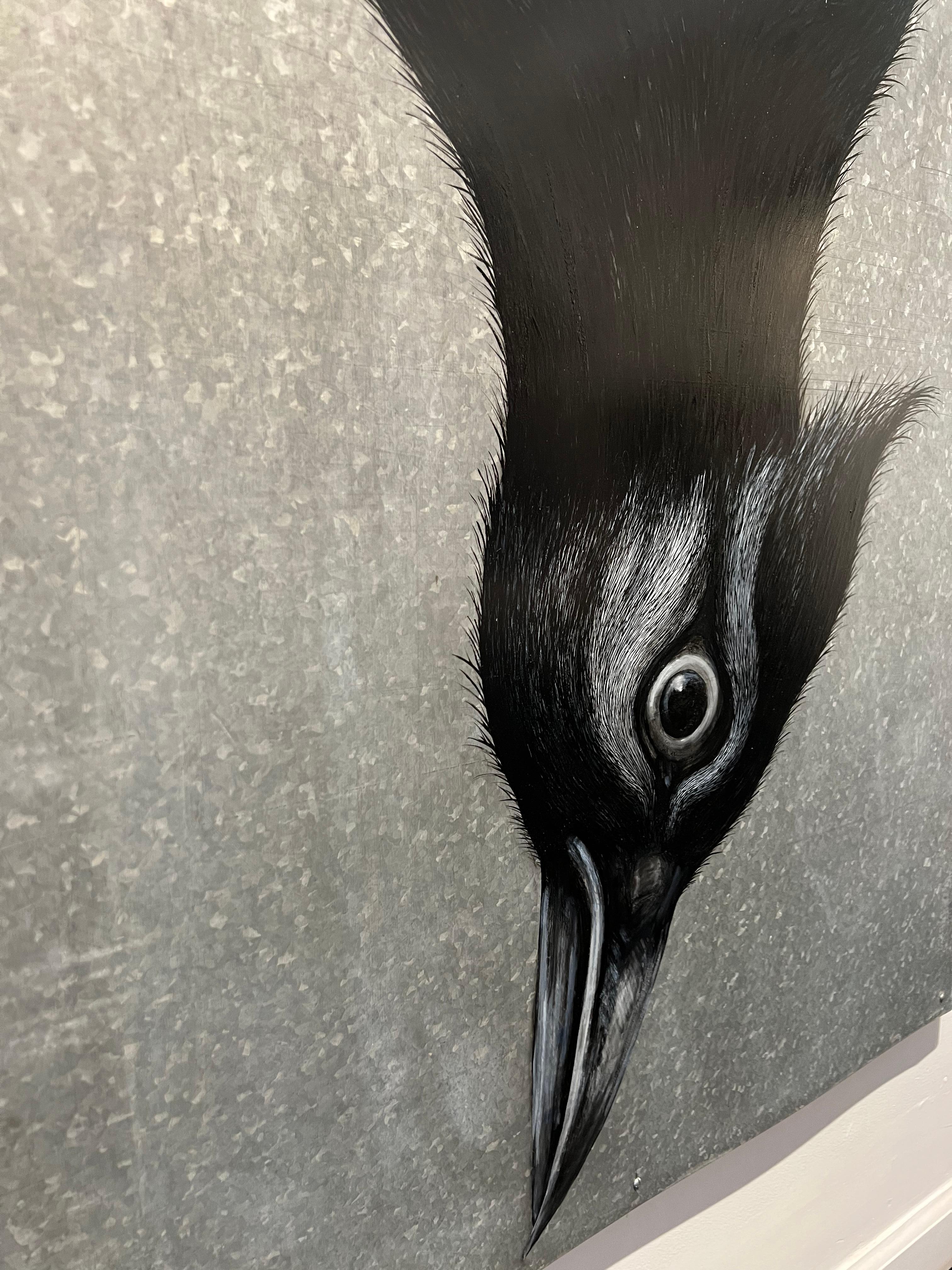 CYANOCITTA CRISTATA - Mixed Media Art Contemporaneo di ROA