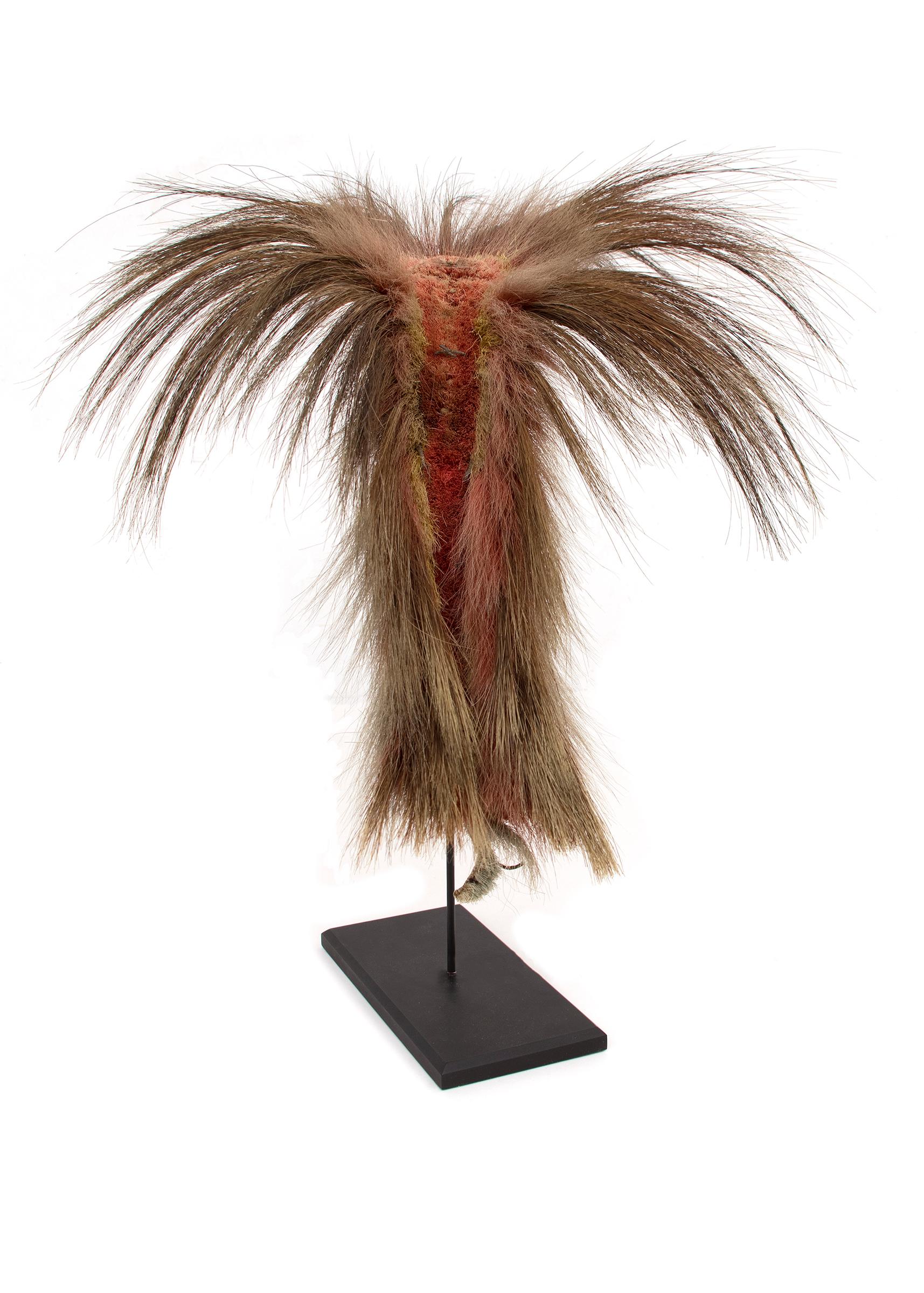 Roach Headdress, Antique Native American, Plains Indian, 19th Century In Good Condition For Sale In Denver, CO