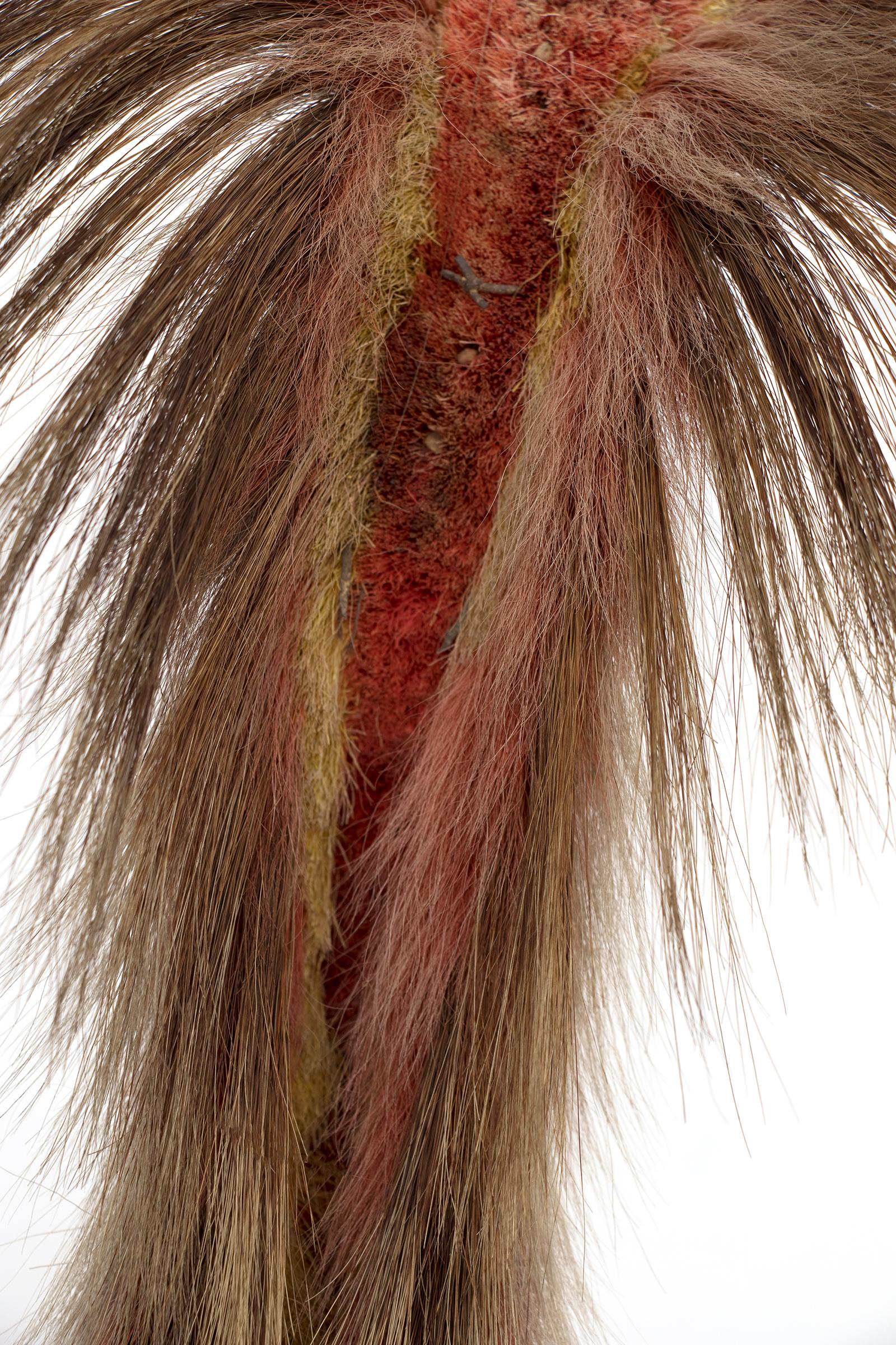 Roach Headdress, Antique Native American, Plains Indian, 19th Century For Sale 1
