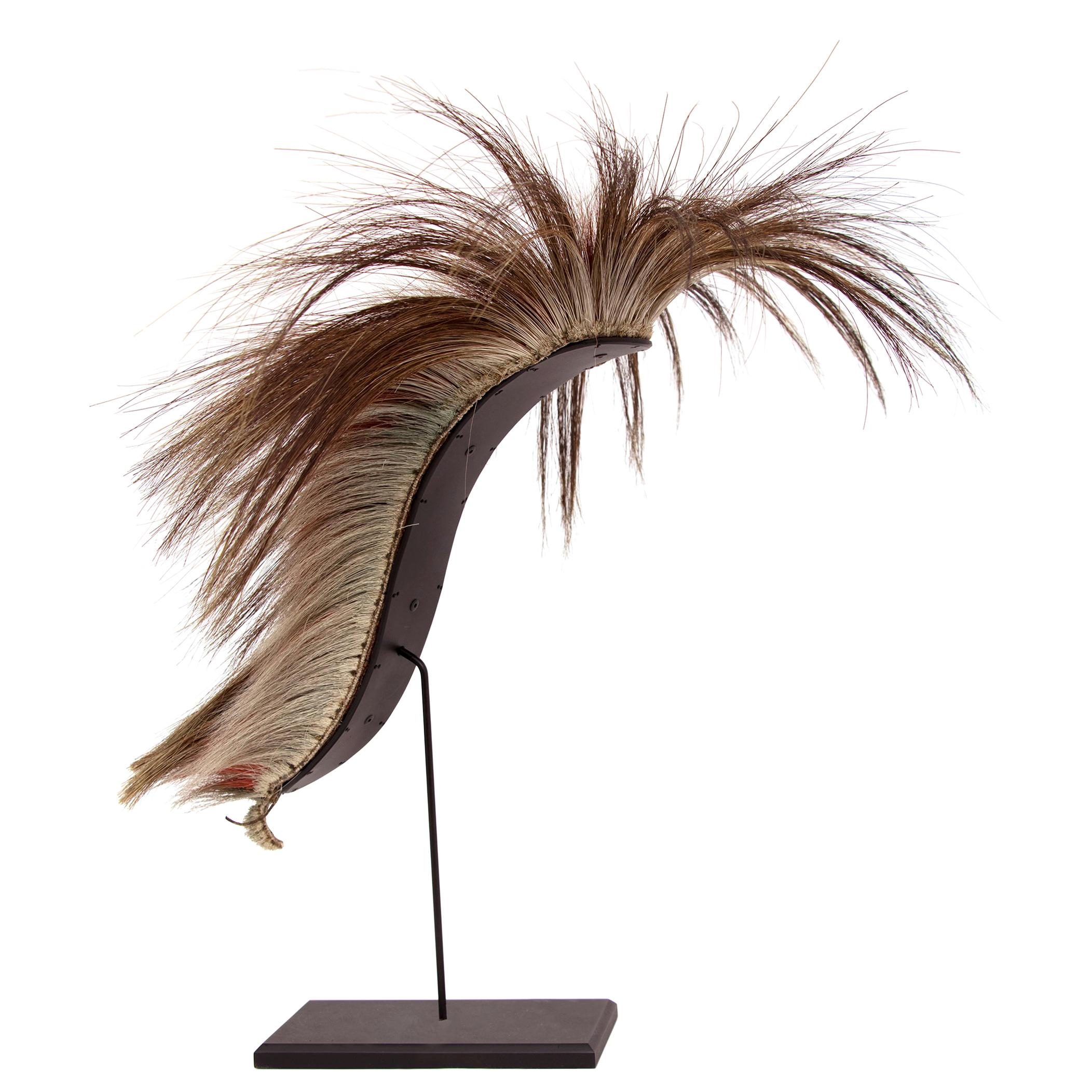 Roach Headdress, Antique Native American, Plains Indian, 19th Century For Sale