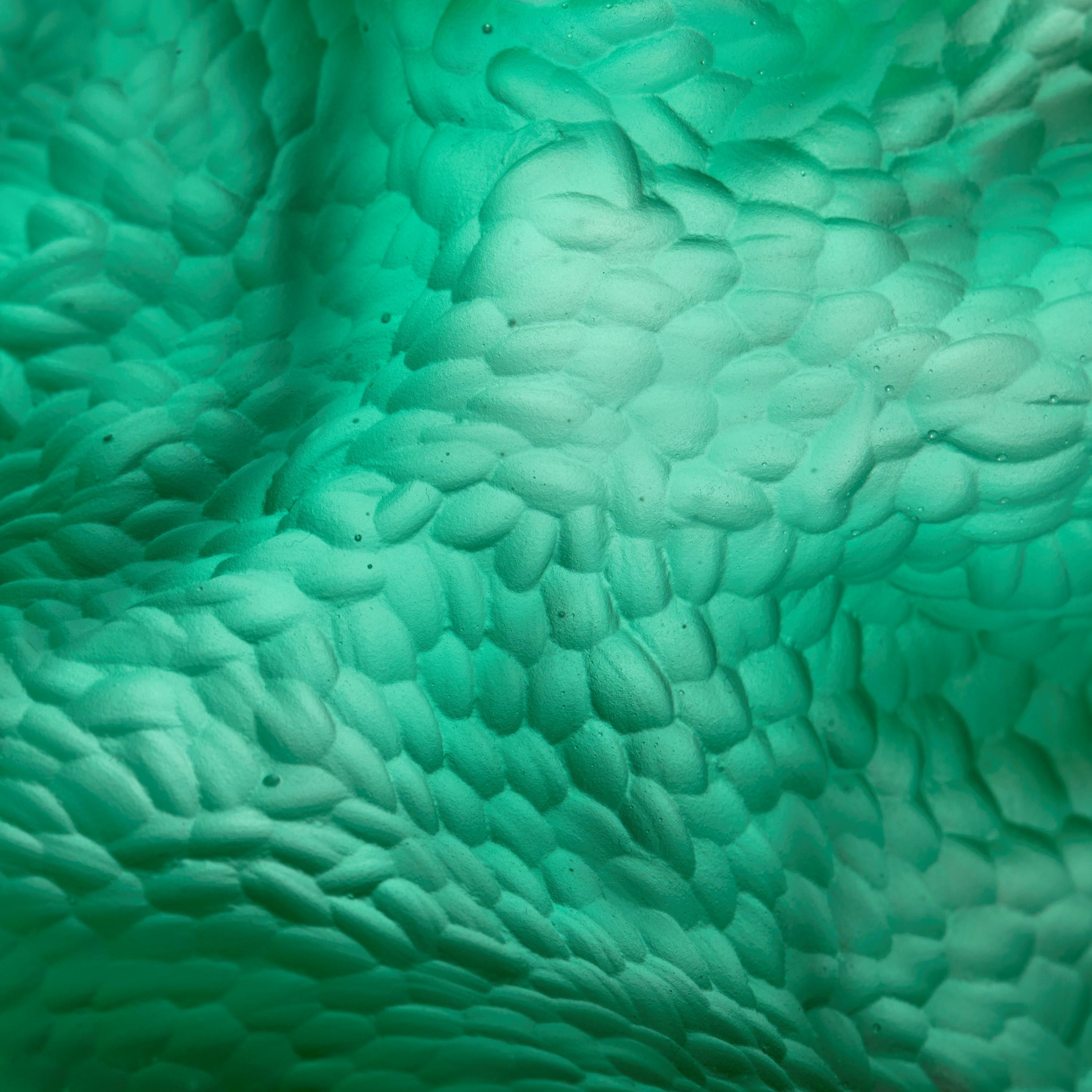 Roaming Spirit, escultura verde de vidrio fundido inspirada en el coral, de Monette Larsen en Nuevo estado para la venta en London, GB