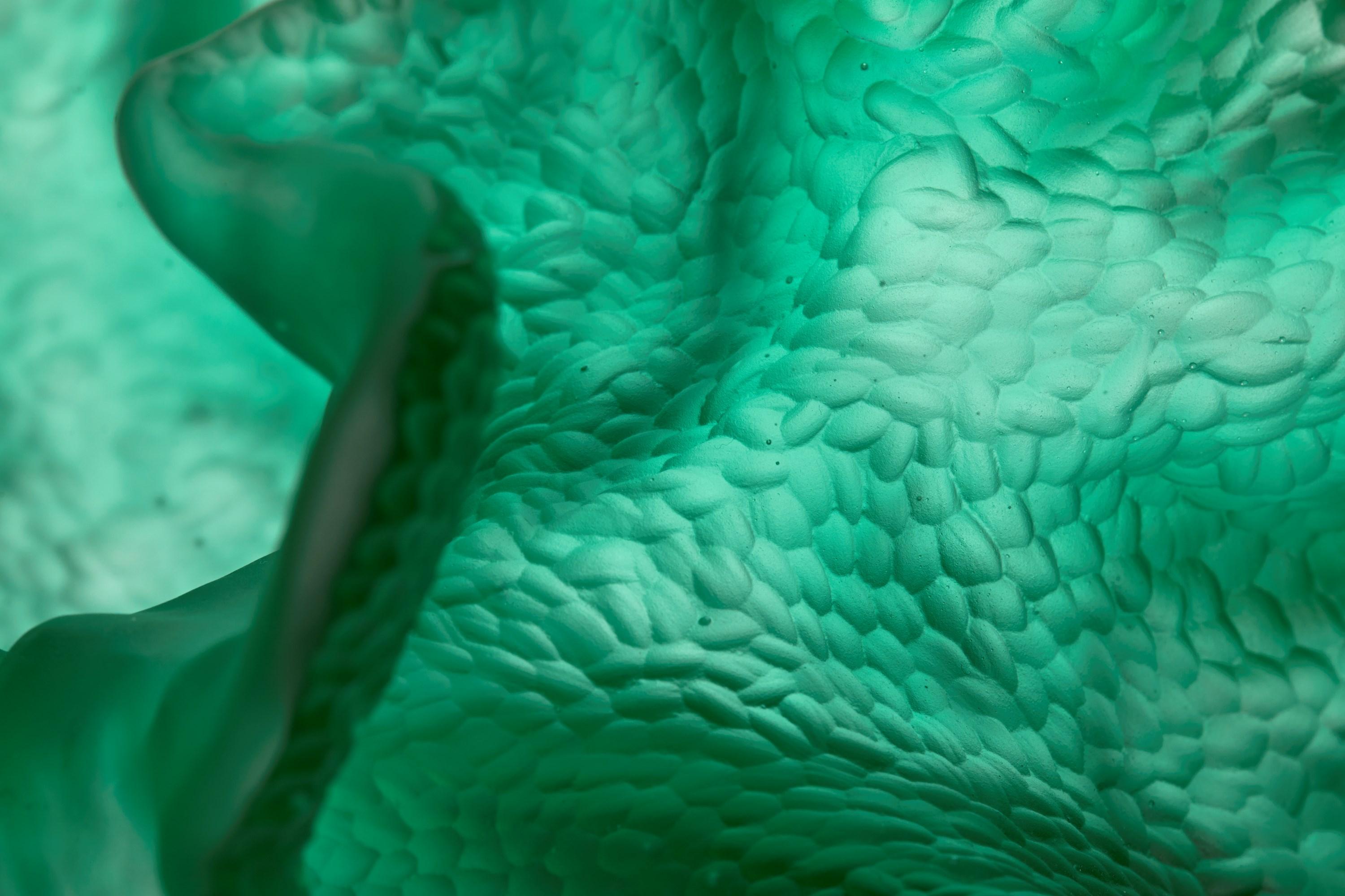 Roaming Spirit, escultura verde de vidrio fundido inspirada en el coral, de Monette Larsen Siglo XXI y contemporáneo en venta