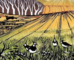 A Fine Day For Lapwings, Rob Barnes, Limited Edition Print, Bird Landscape Art