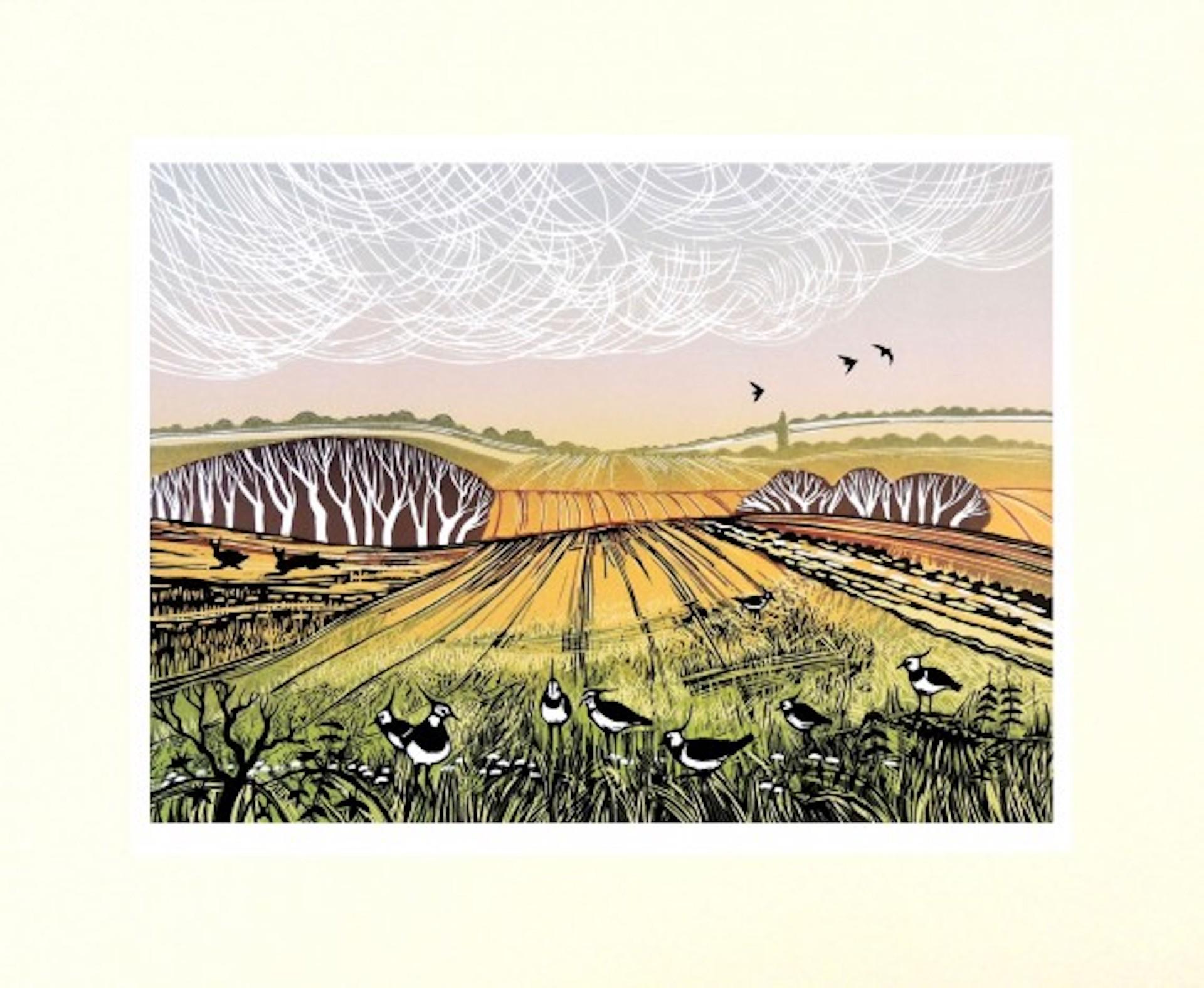A Fine Day For Lapwings, Rob Barnes, Limited Edition Print, Bird Landscape Art For Sale 6