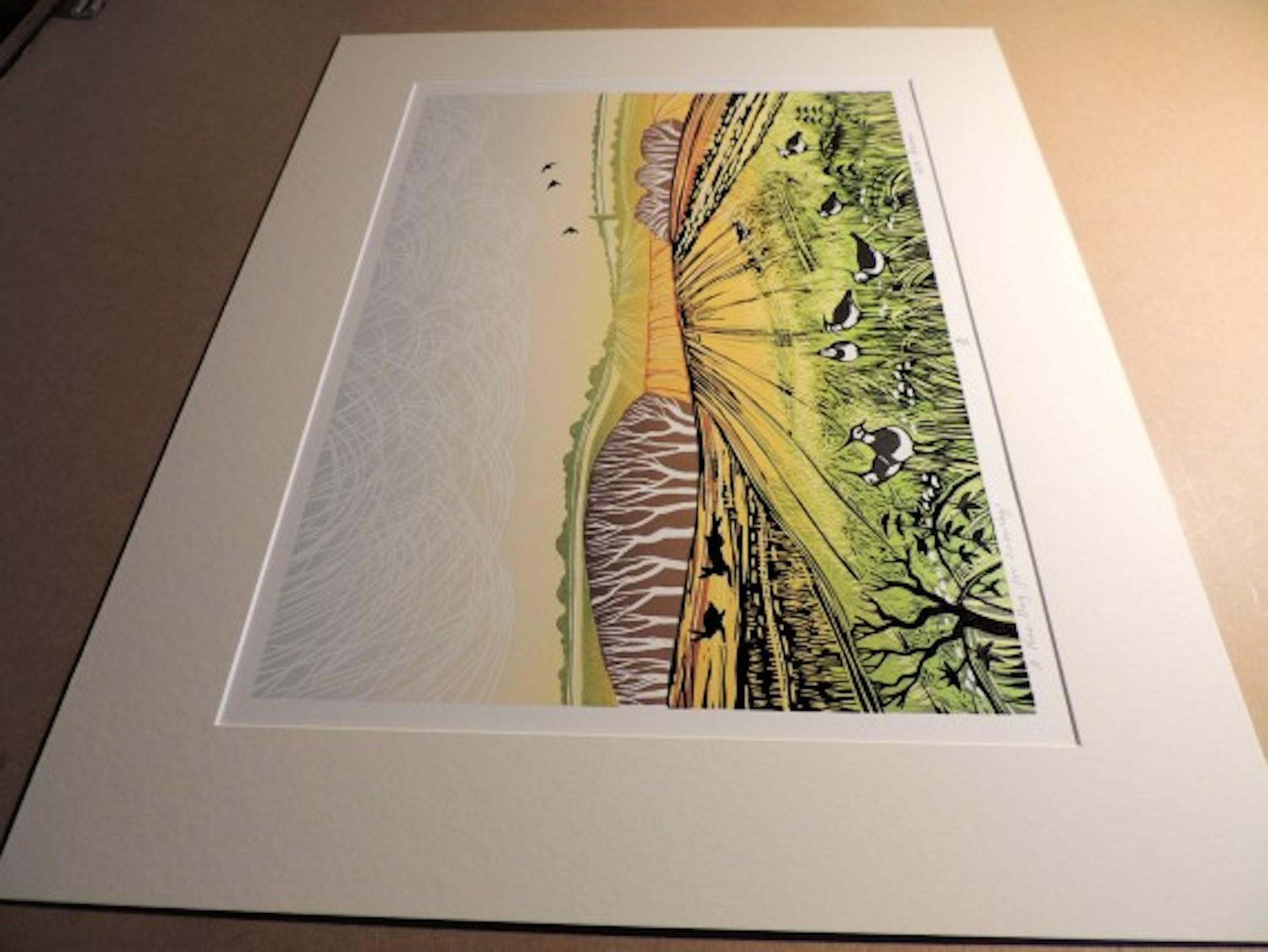 A Fine Day For Lapwings, Rob Barnes, Limited Edition Print, Bird Landscape Art For Sale 7