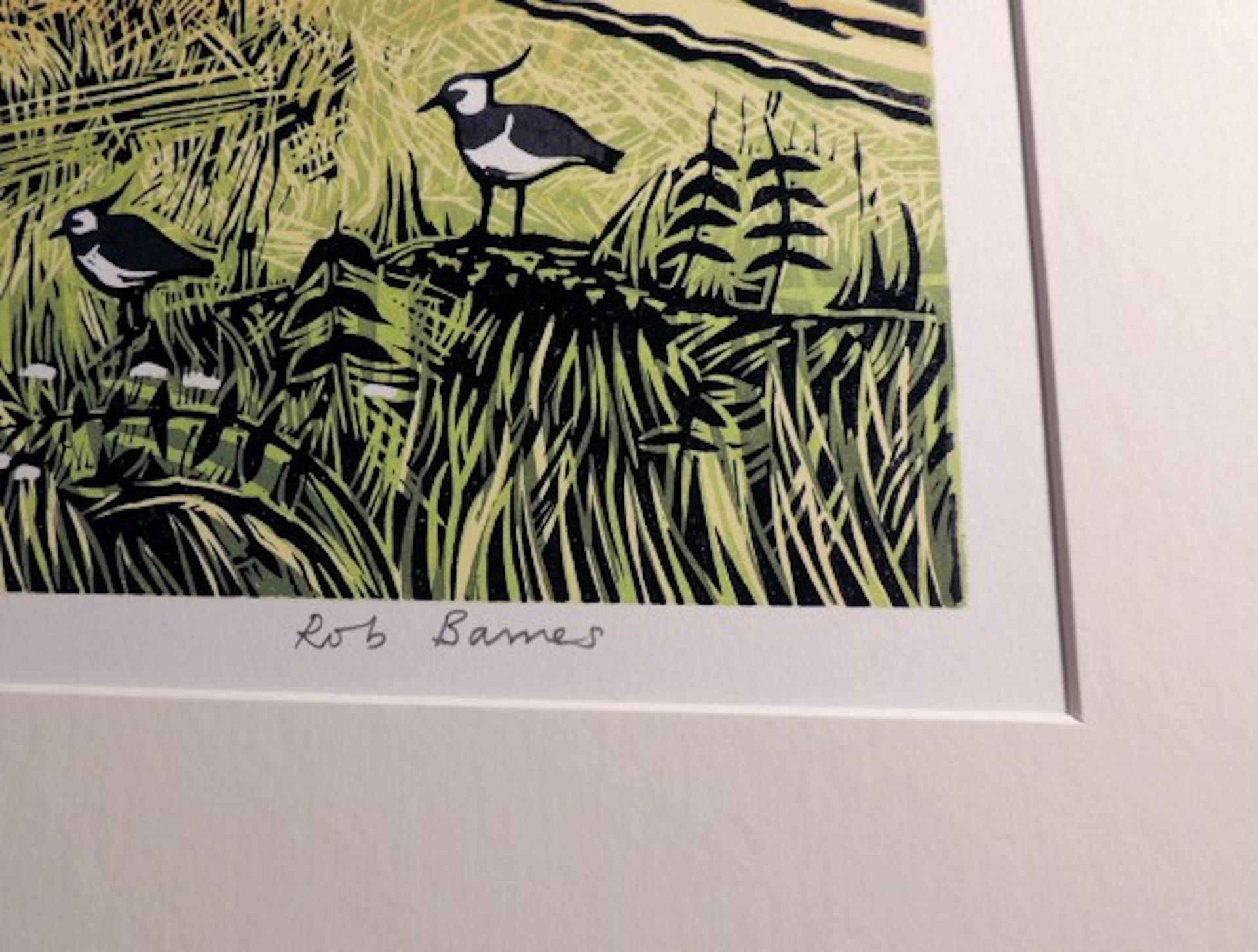 A Fine Day For Lapwings, Rob Barnes, Limited Edition Print, Bird Landscape Art For Sale 8