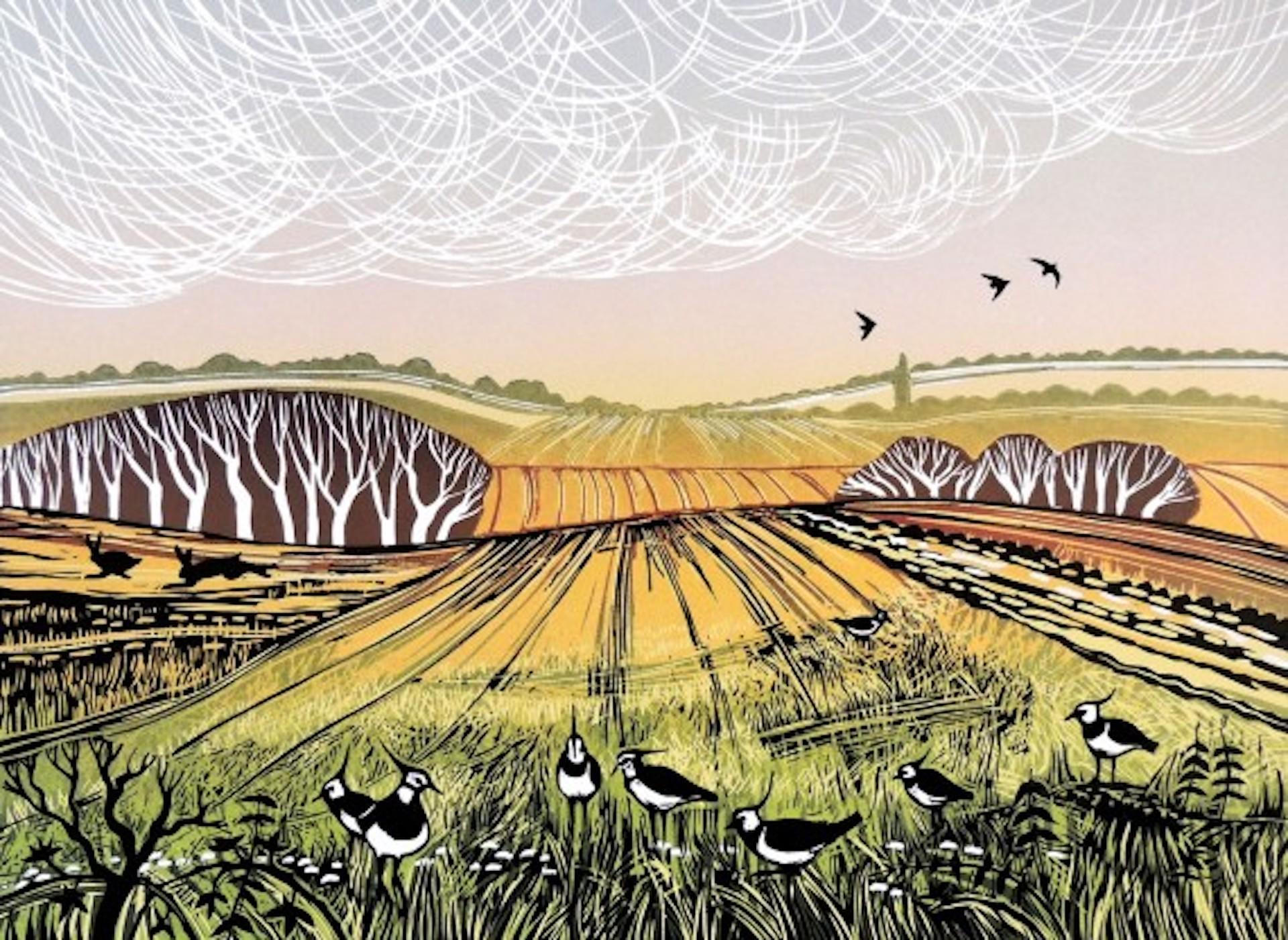 A Fine Day For Lapwings, Rob Barnes, Limited Edition Print, Bird Landscape Art
