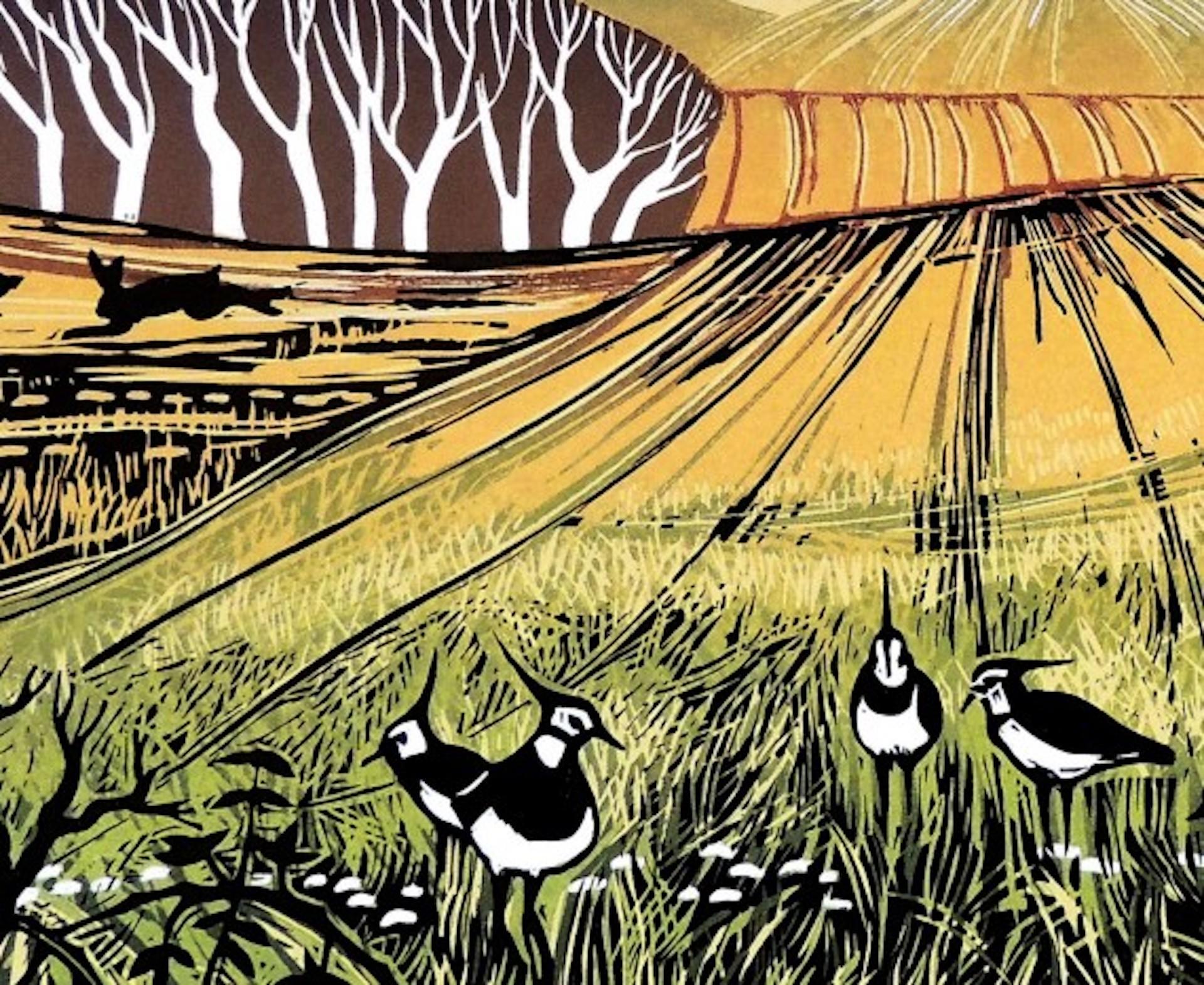 A Fine Day For Lapwings by Rob Barnes [2021]
limited edition

Linocut

Edition of 50 in edition

Image size: H:30 cm x W:44 cm

Complete Size of Unframed Work: H:49 cm x W:61 cm x D:0.02cm

Sold Unframed

Please note that insitu images are purely an