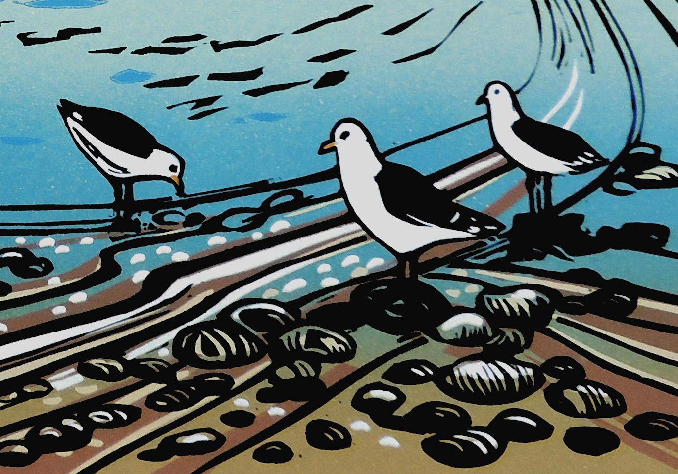 Cloud Reflection, Seascape Print, Coastal Art, Beach Art, Bird Art, Animal Art For Sale 5