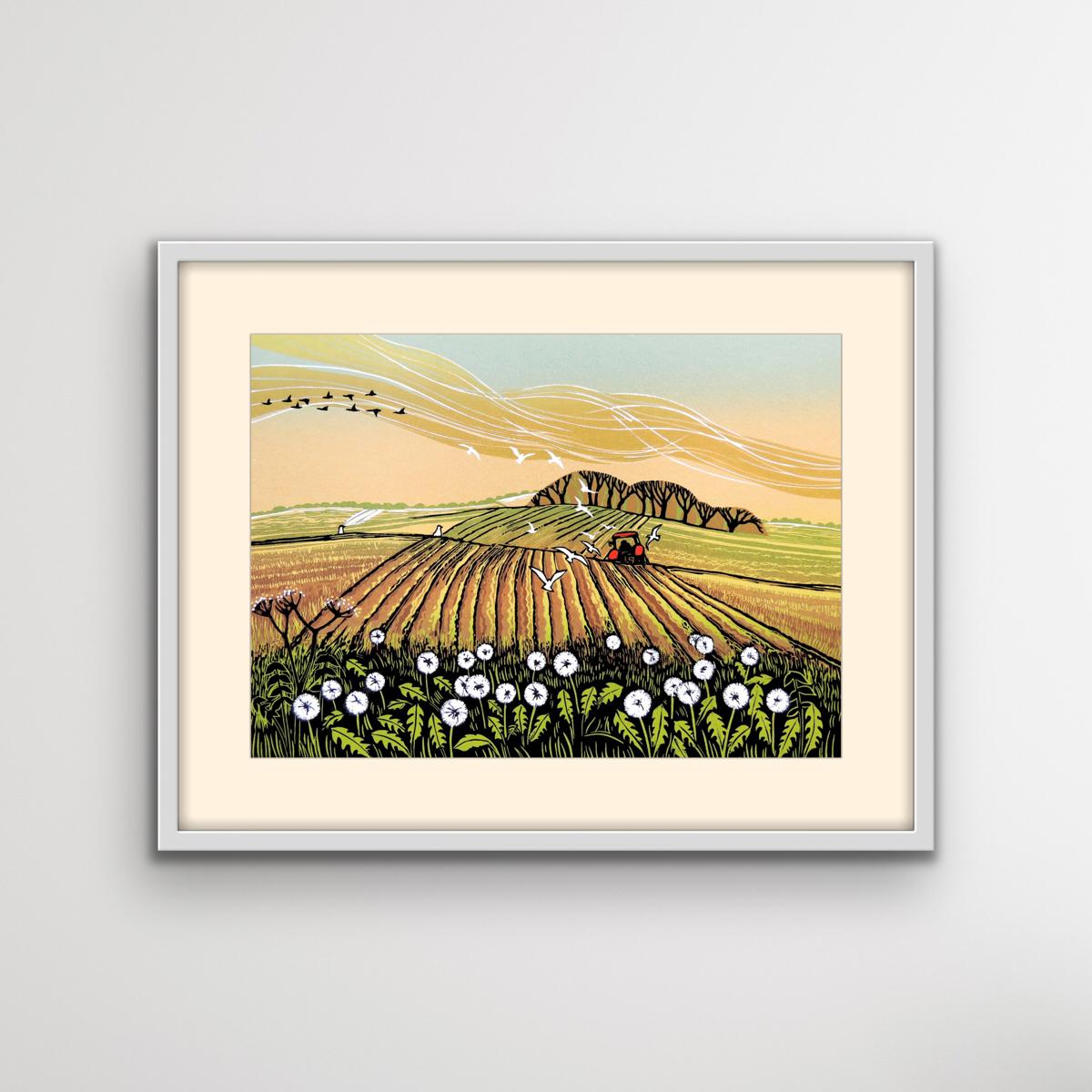 There is a time of year when dandelions abound in the local fields. I often see a red tractor ploughing late crops and this view is inspired by a fine day for dandelions. Ploughings give a sense of direction in cantrast with the dandelion