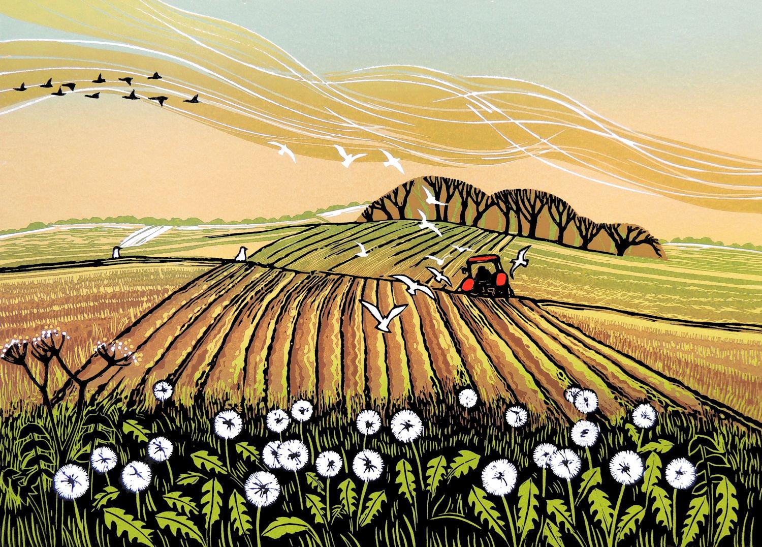 Rob Barnes Interior Print - Dandelion Clocks, Landscape Print, Rural Countryside Art, Tractor Art, Harvest