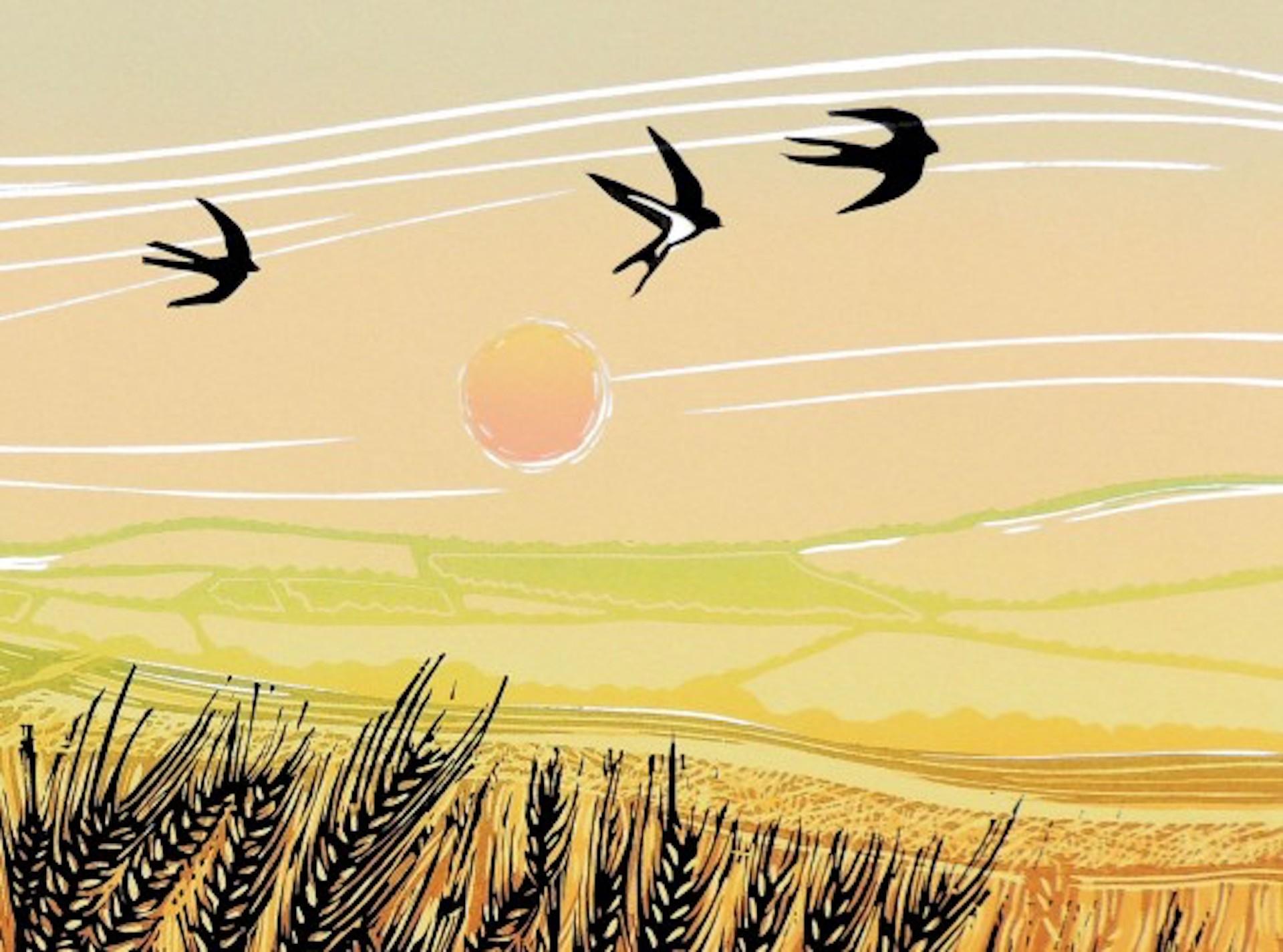 Flight Over The Barley, Rob Barnes, estampe en édition limitée, œuvre d'art Birds Field en vente 1