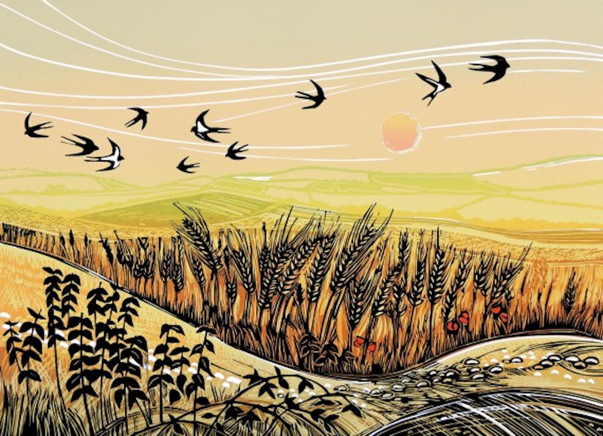 Flight Over The Barley, Rob Barnes, estampe en édition limitée, œuvre d'art Birds Field
