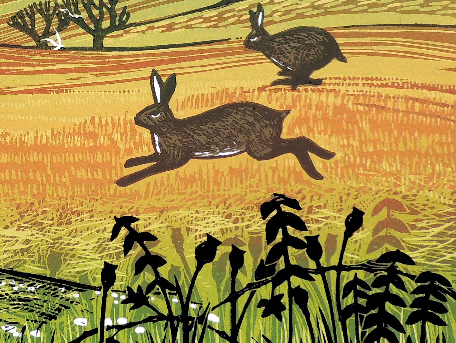 Running Hares, Limited edition print, Landscape, Nature, Bunny, Rabbit - Contemporary Print by Rob Barnes
